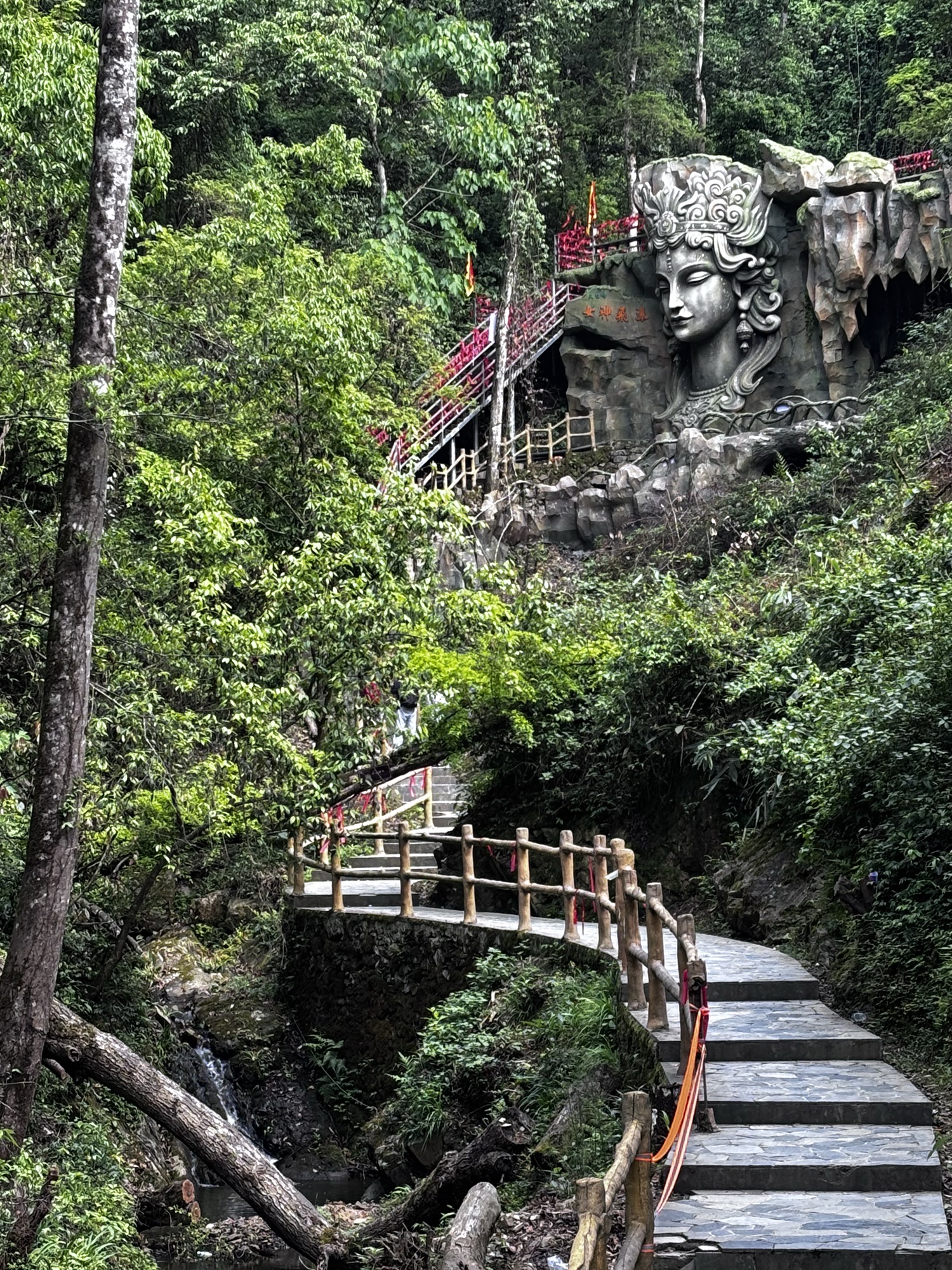 天柱峰景区旅行图片 3