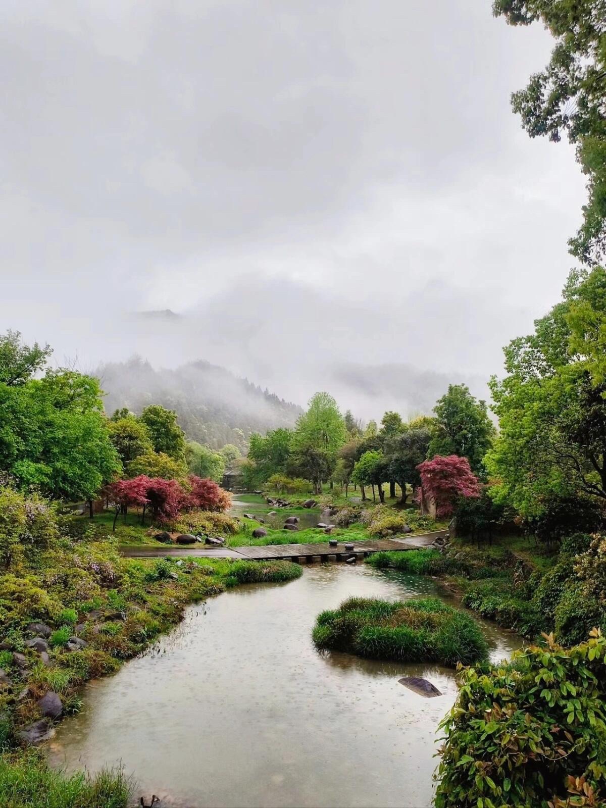 天柱峰景区旅行图片 3
