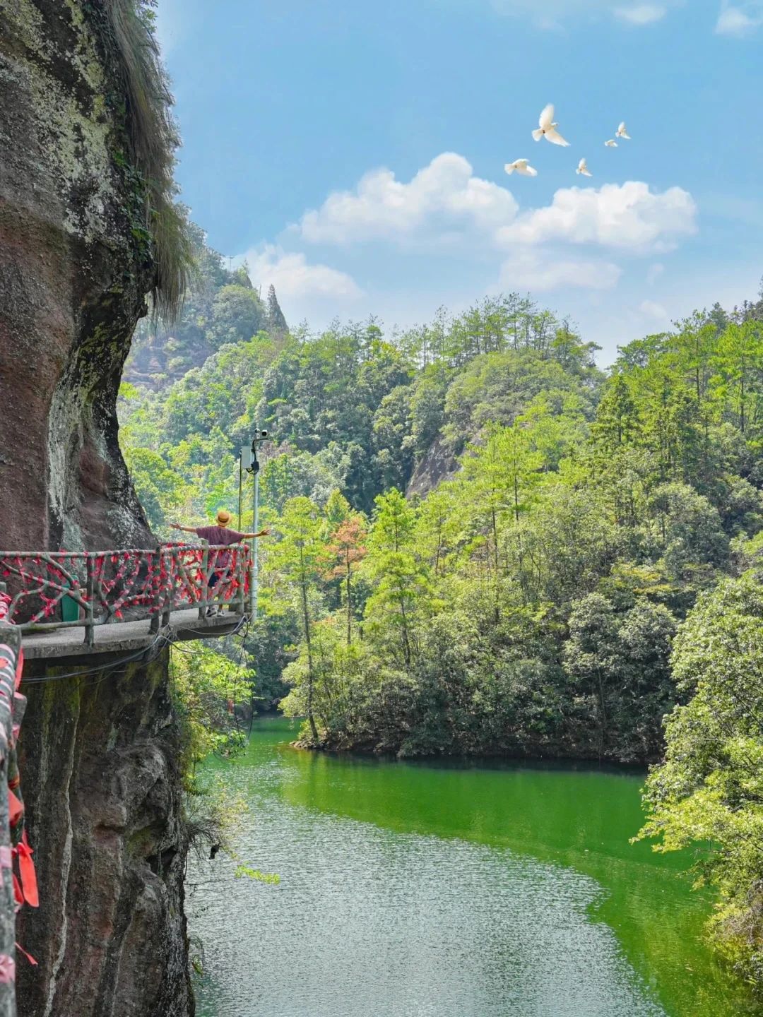 天柱峰景区旅行图片 2