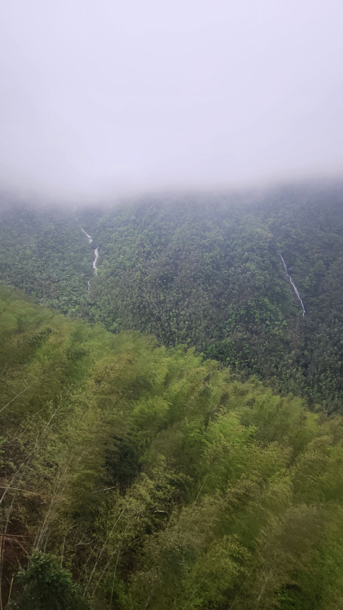 宜春明月山国家级风景名胜区旅行图片 1