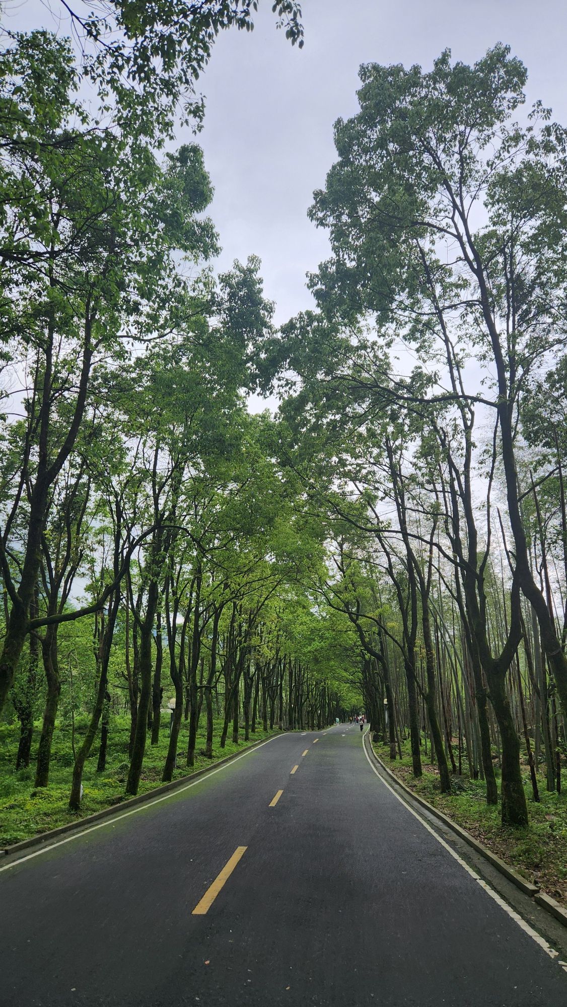 宜春明月山国家级风景名胜区旅行图片 3