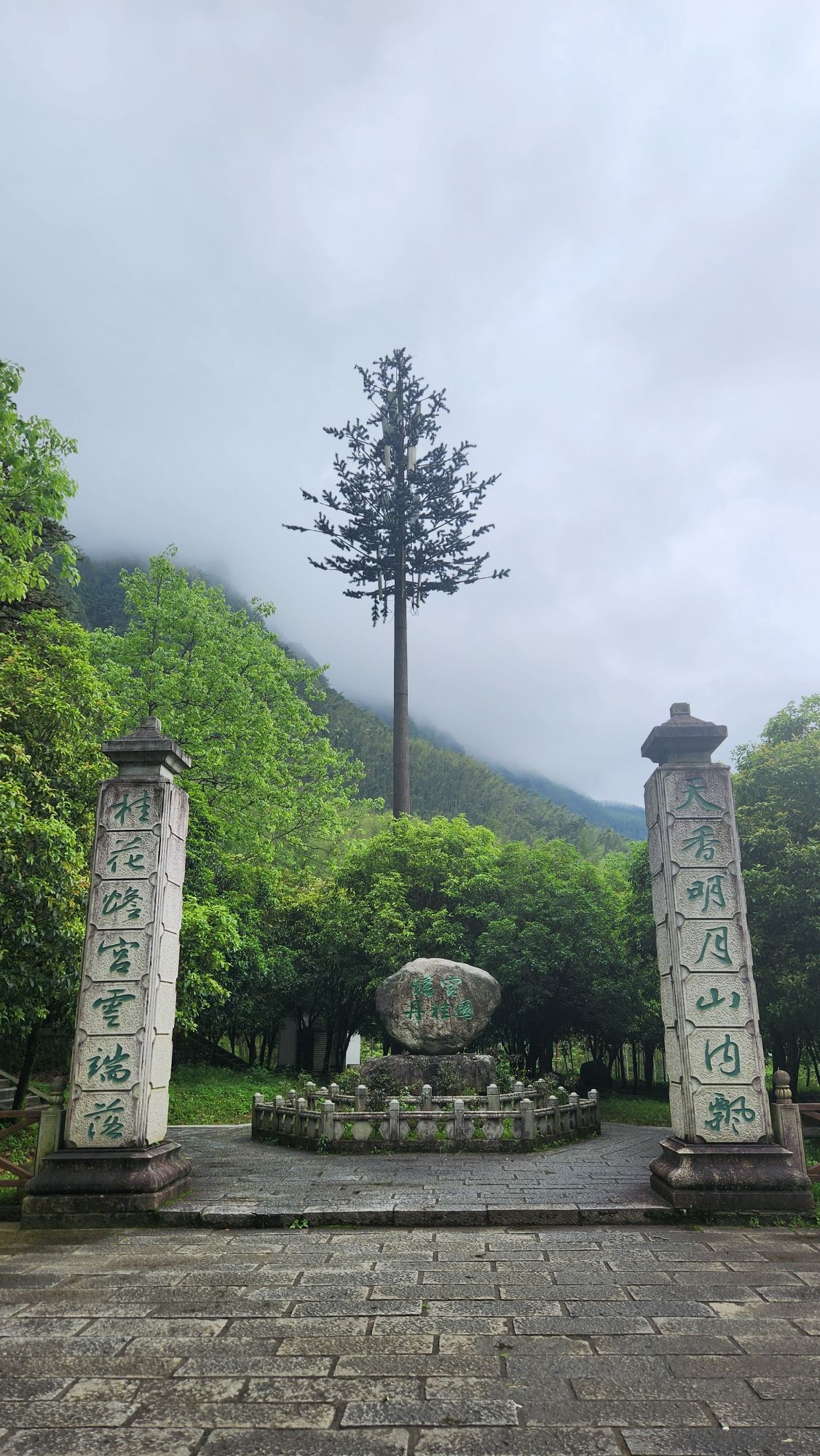 宜春明月山国家级风景名胜区旅行图片 2