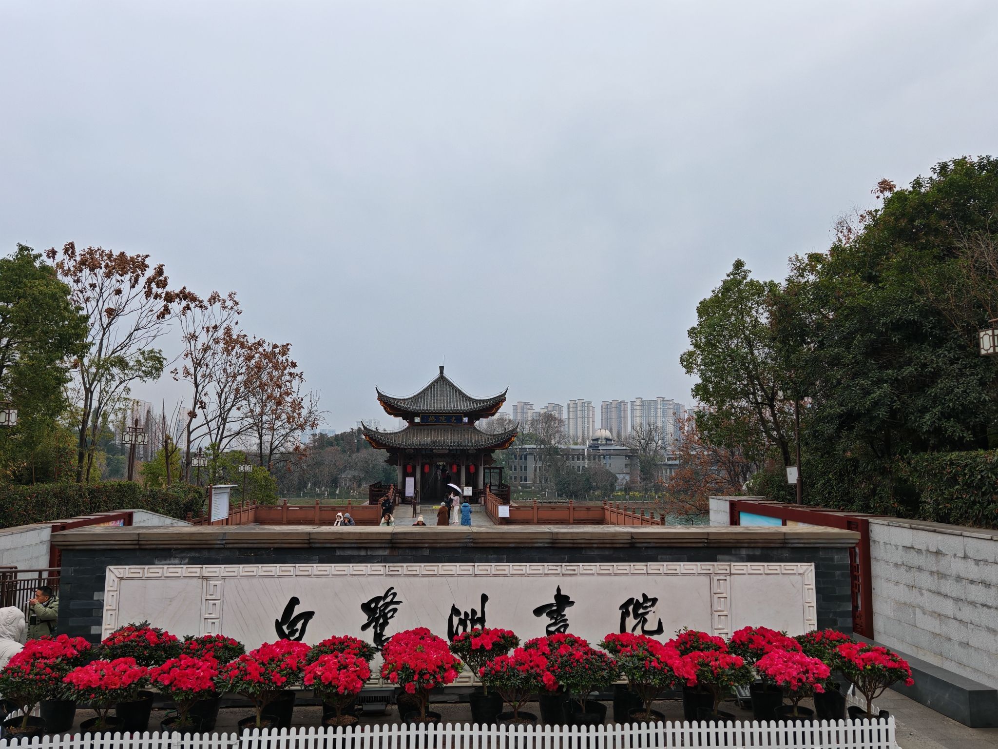 白鹭洲书院旅行图片 1