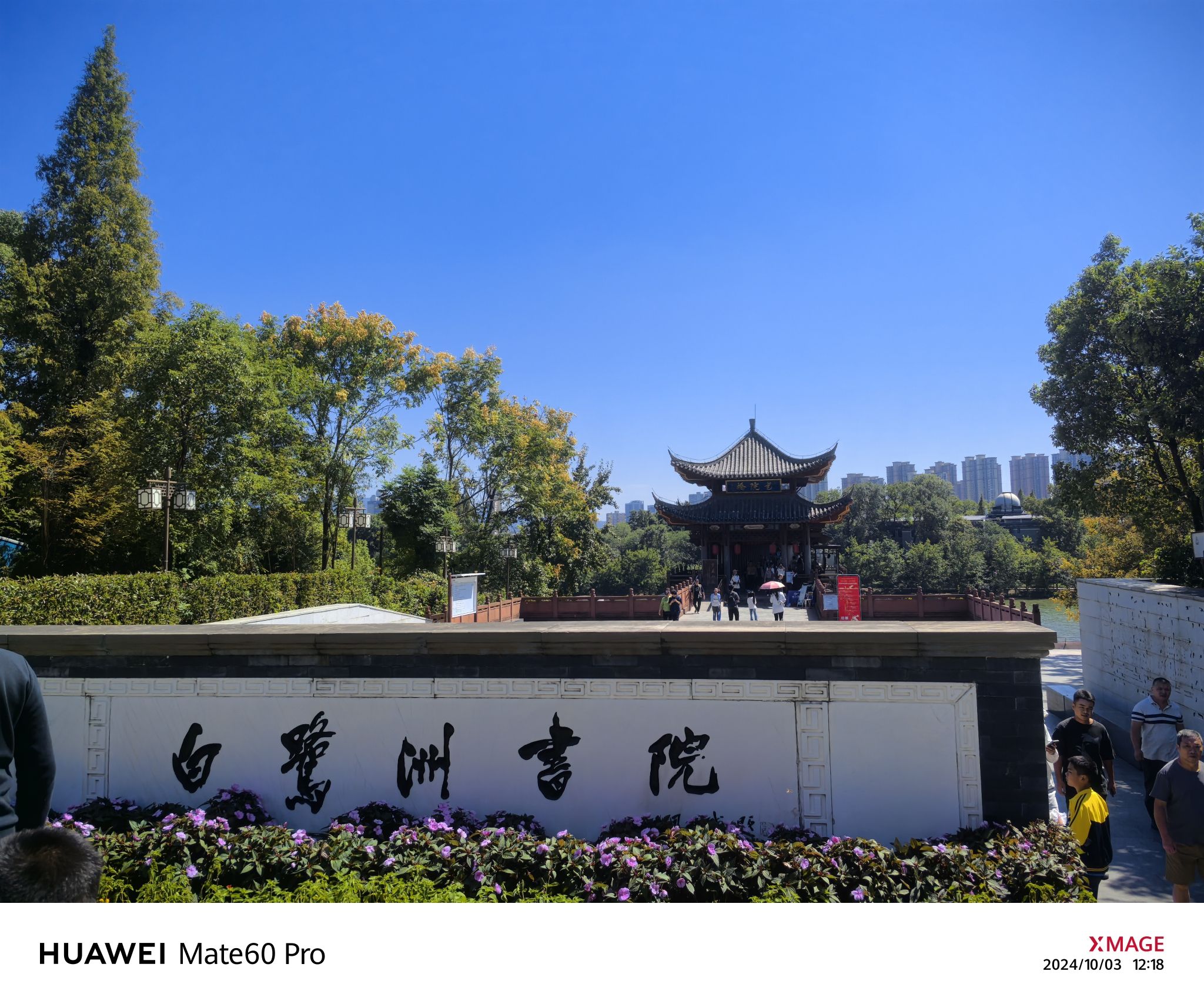 白鹭洲书院旅行图片 1