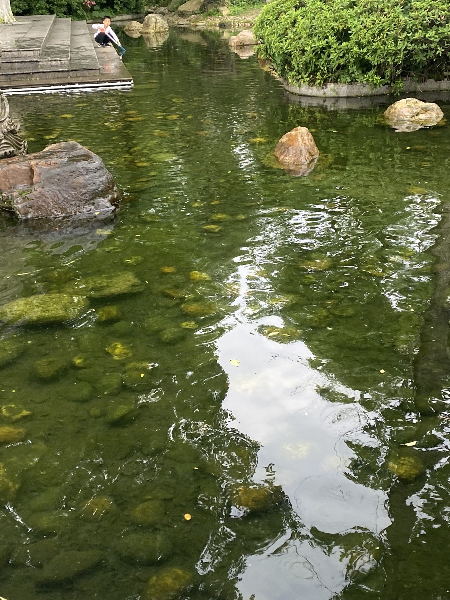 白鹭洲公园旅行图片 1