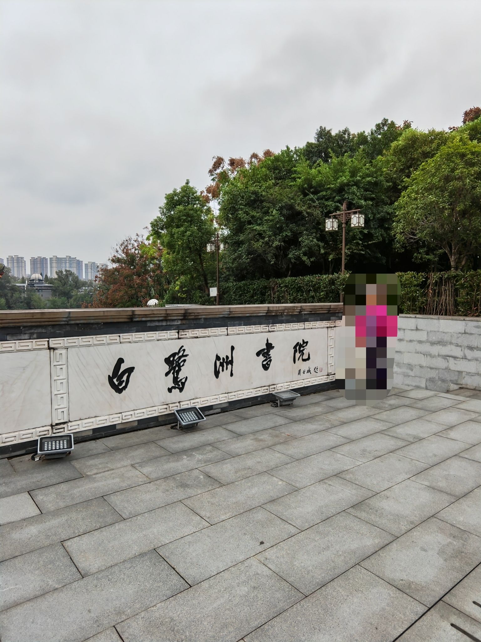 白鹭洲公园旅行图片 2