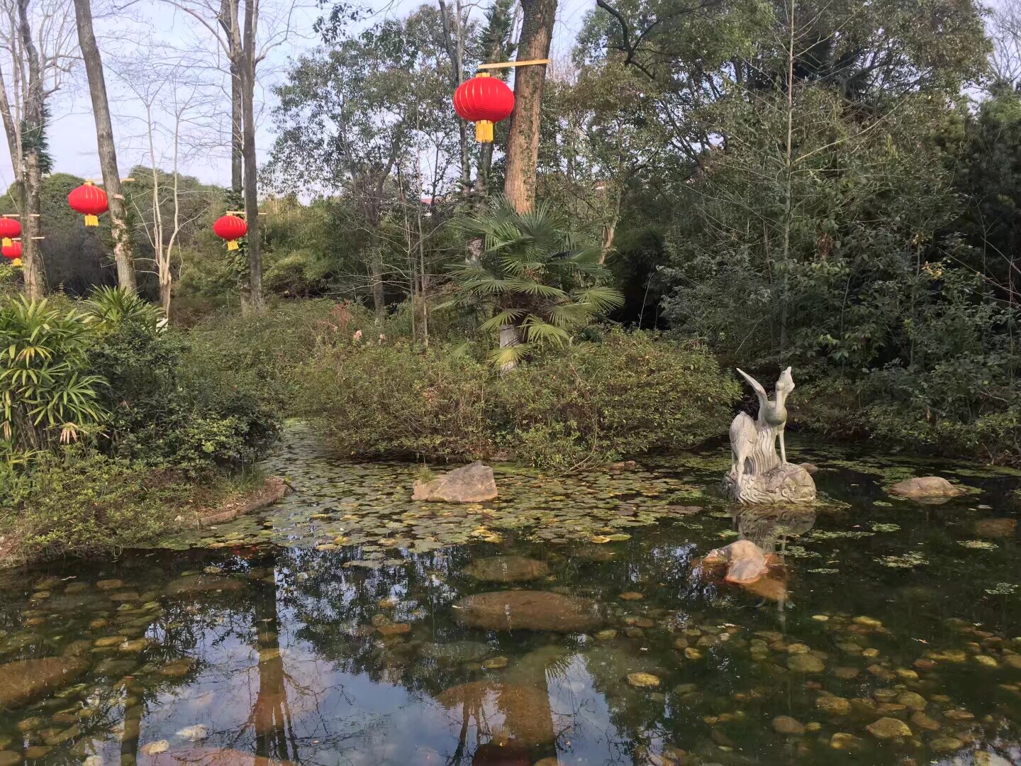 白鹭洲公园旅行图片 3