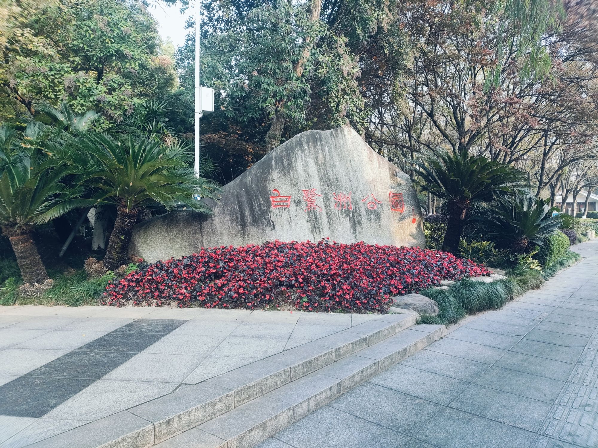 白鹭洲公园旅行图片 1