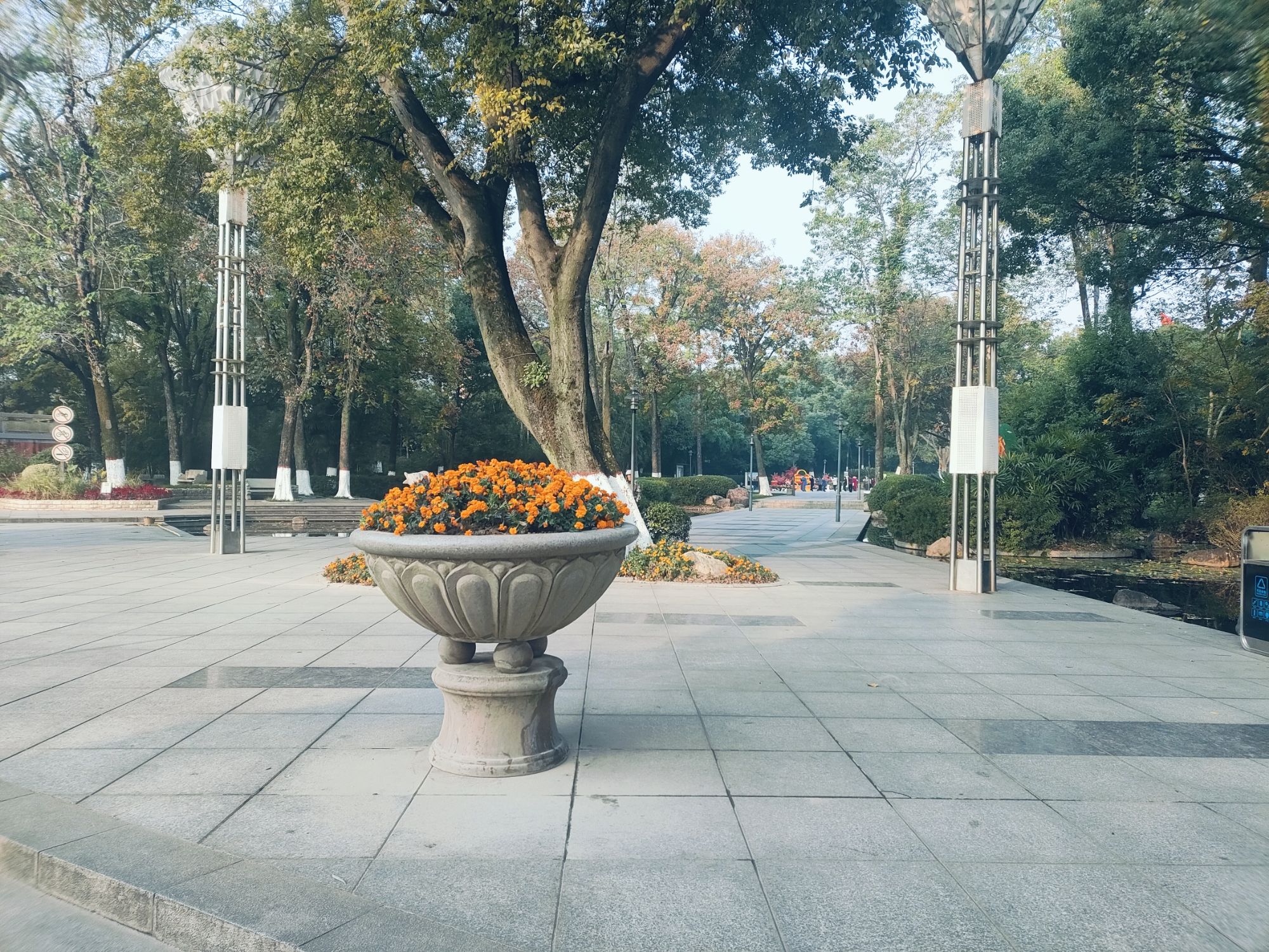 白鹭洲公园旅行图片 2