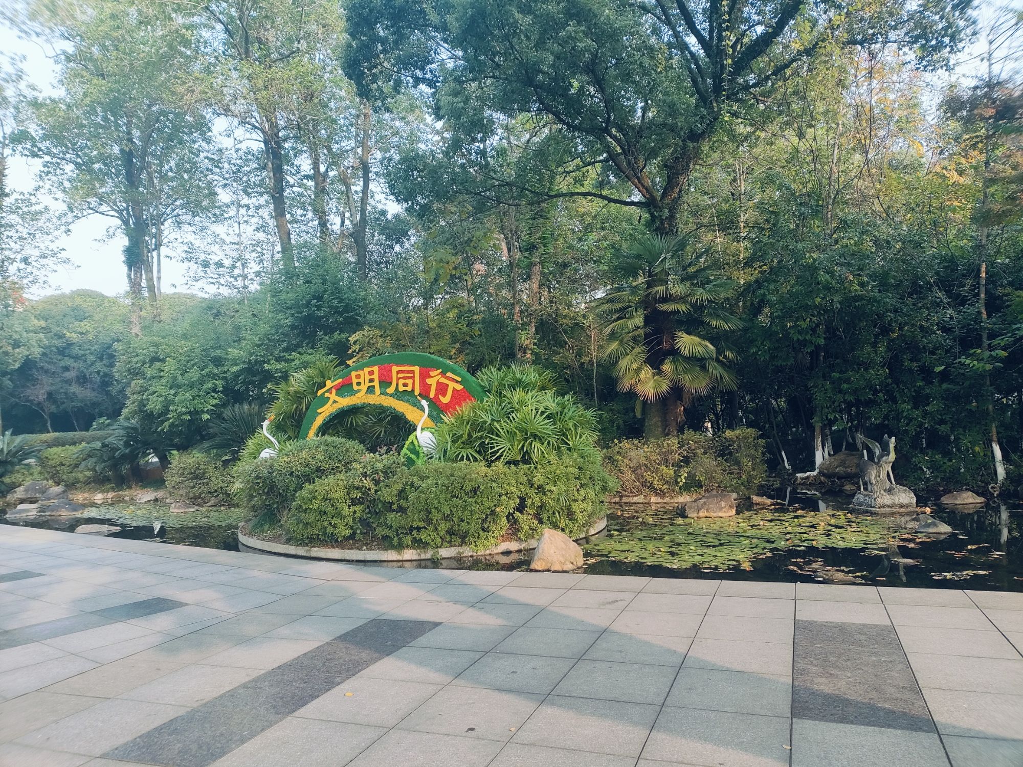 白鹭洲公园旅行图片 3