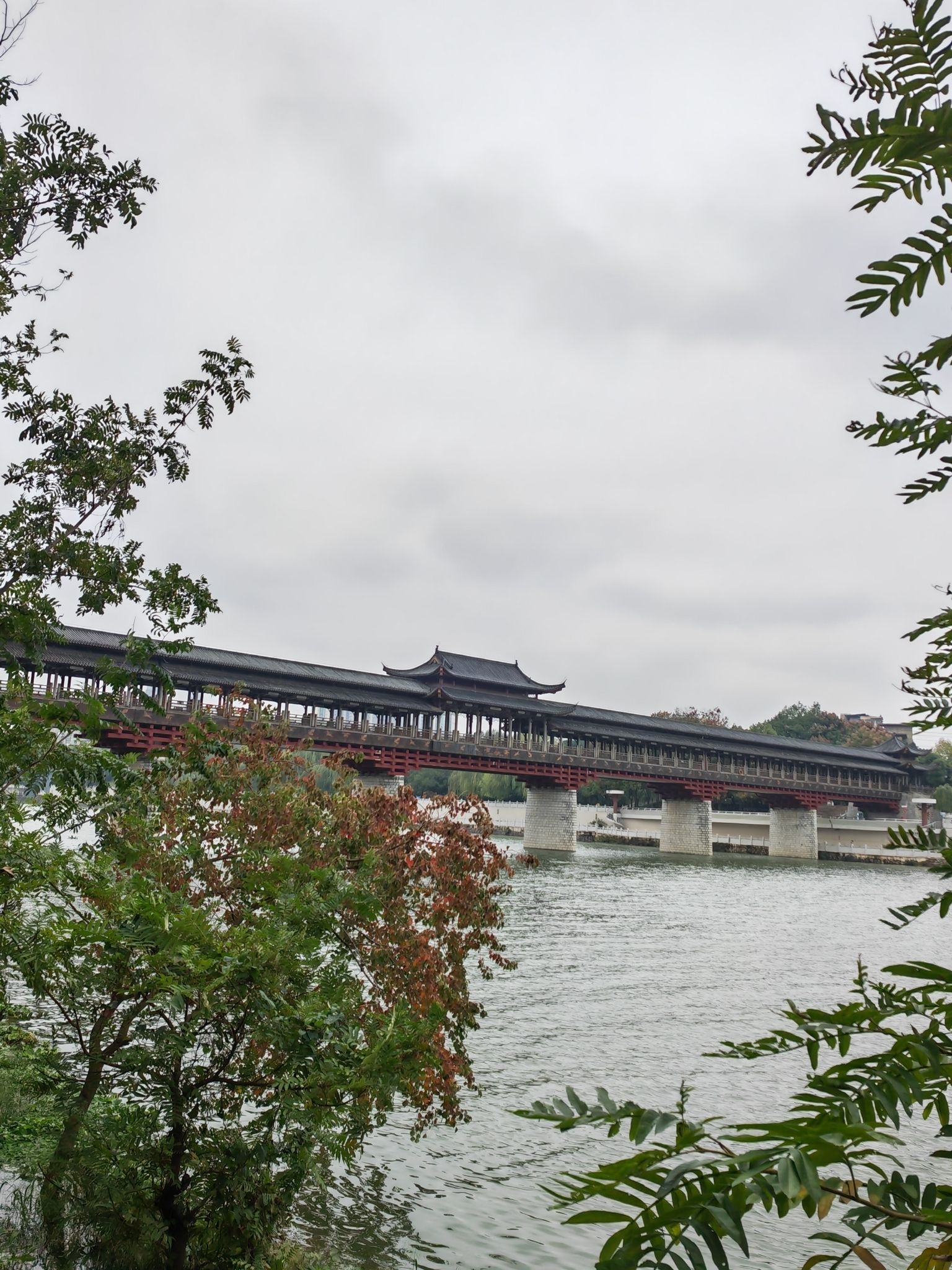 白鹭洲公园旅行图片 3
