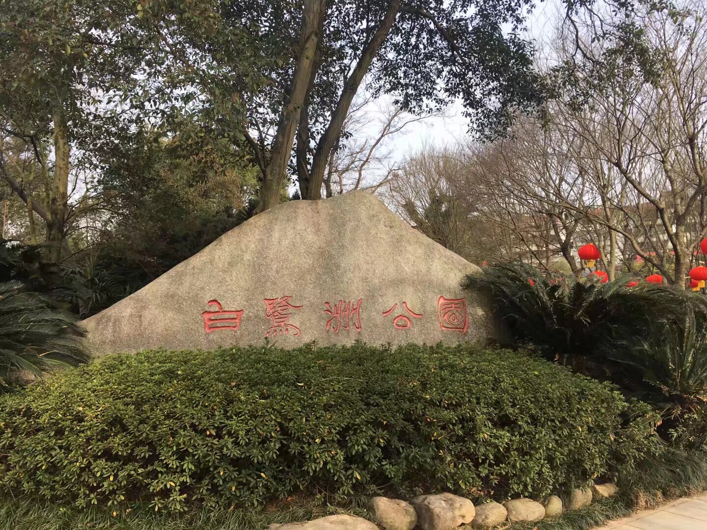 白鹭洲公园旅行图片 1