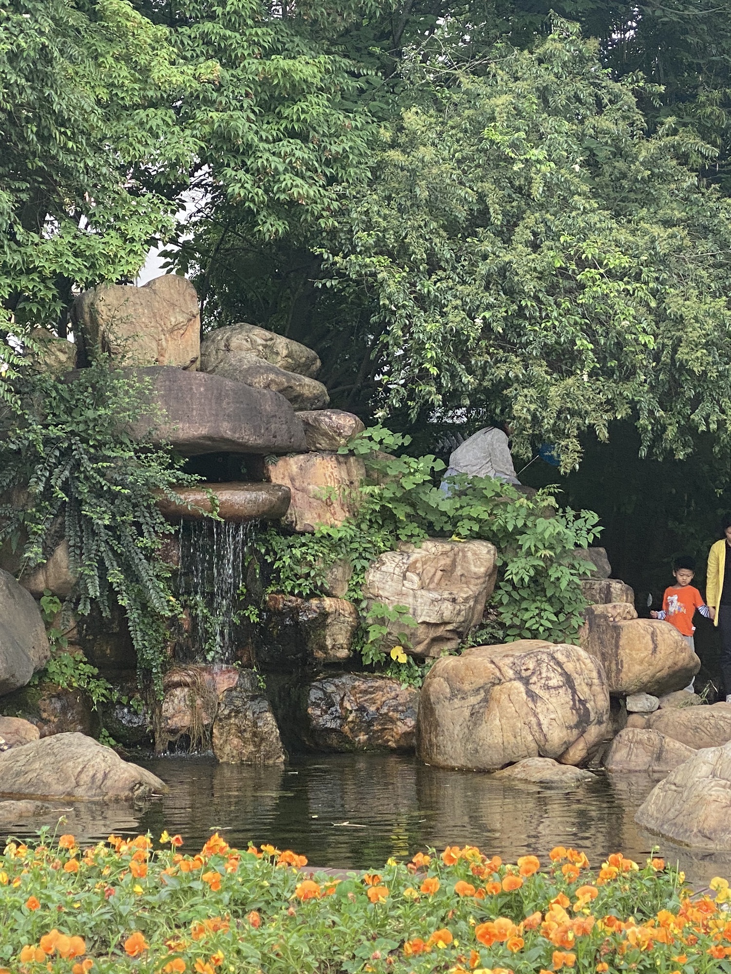 白鹭洲公园旅行图片 2