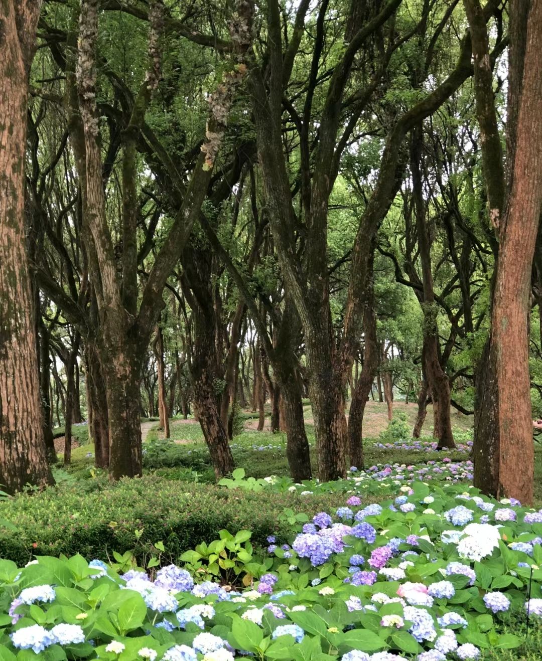 钓源古村旅行图片 2