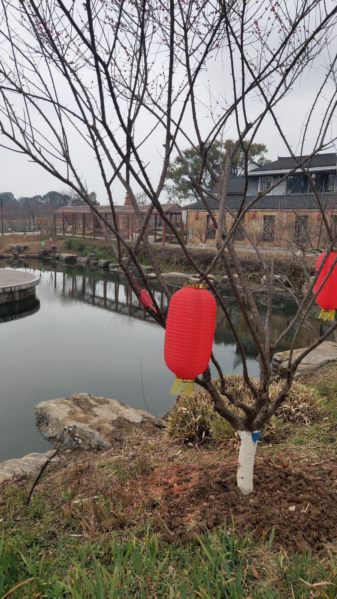 钓源古村旅行图片 3