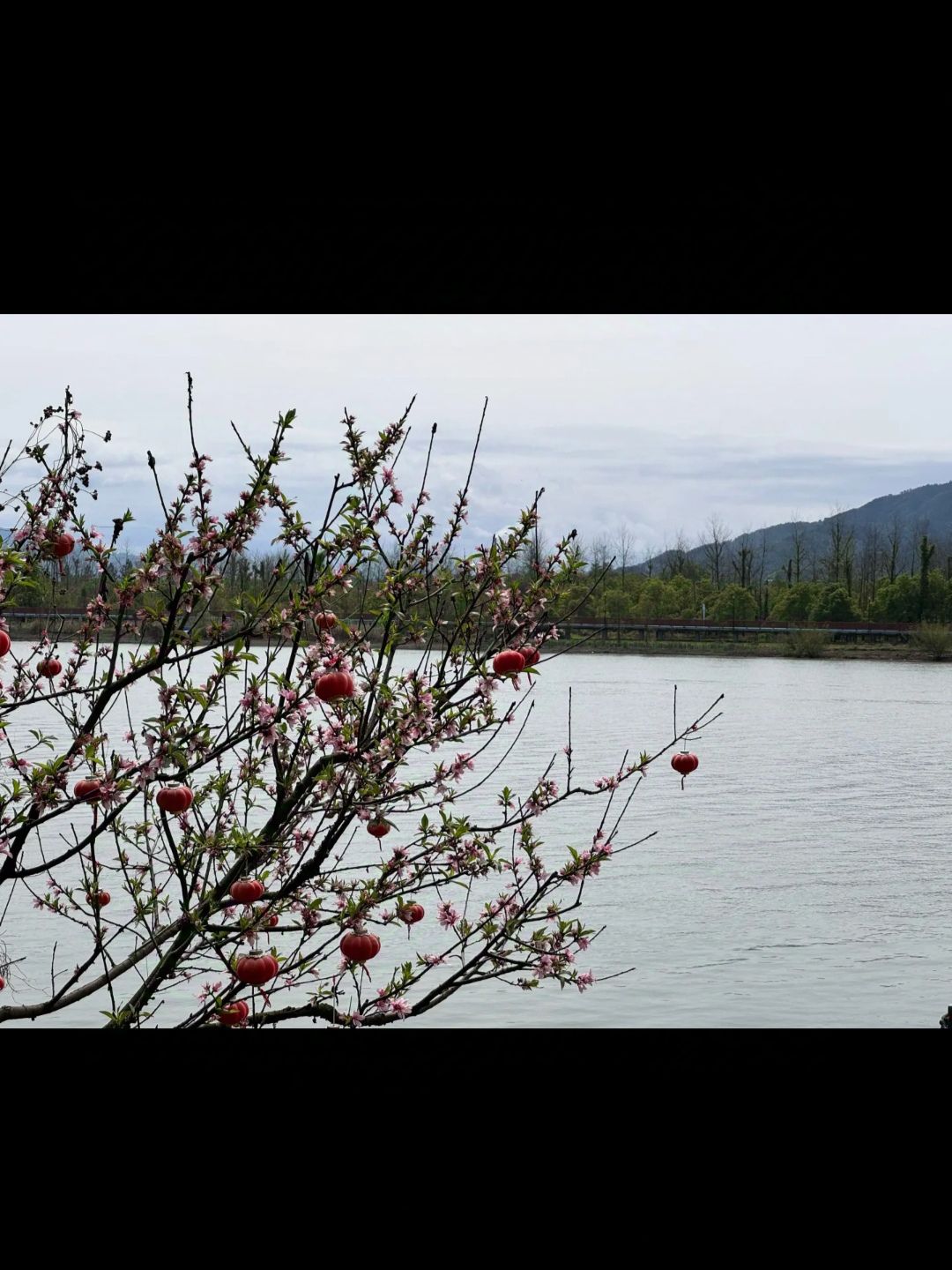 墨潭桃花岛旅行图片 1