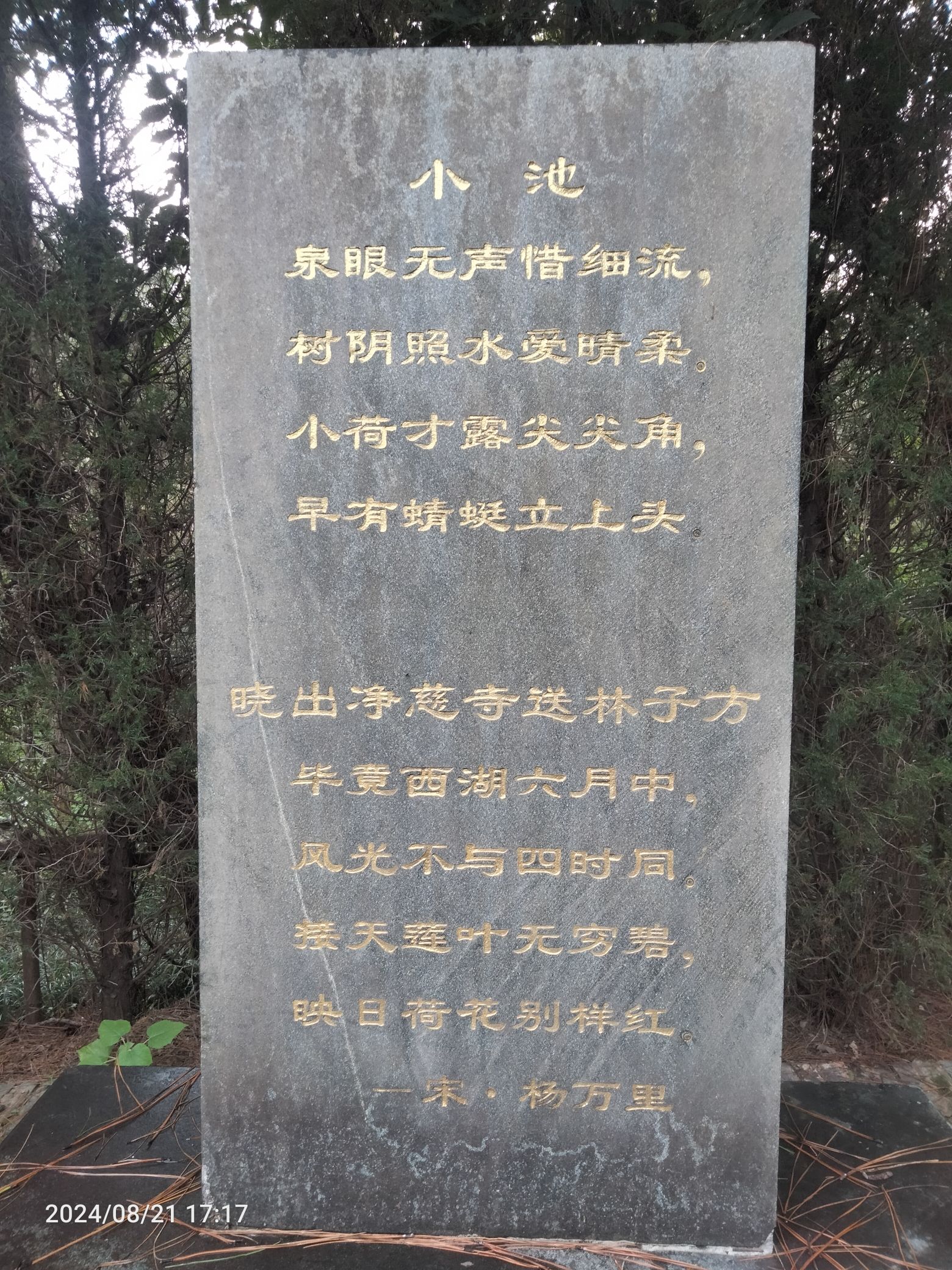 杨万里墓旅行图片 3