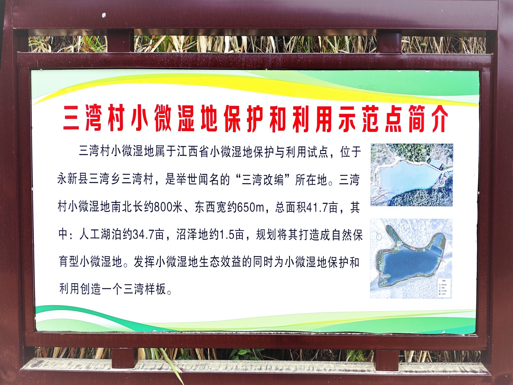 三湾国家森林公园旅行图片 2