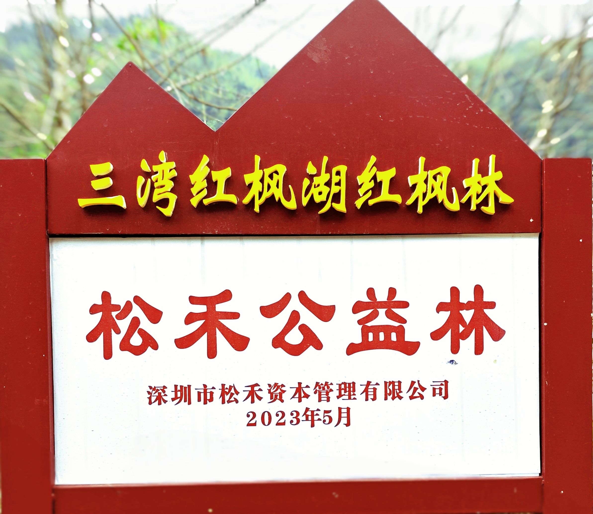 三湾国家森林公园旅行图片 1