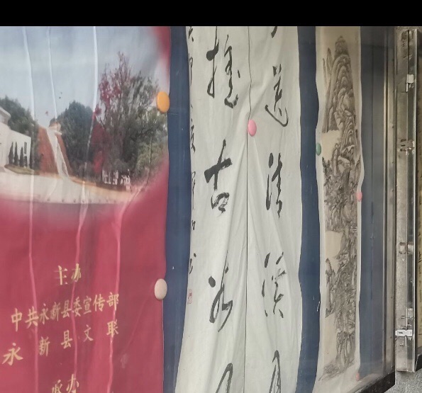 三湾公园旅行图片 3