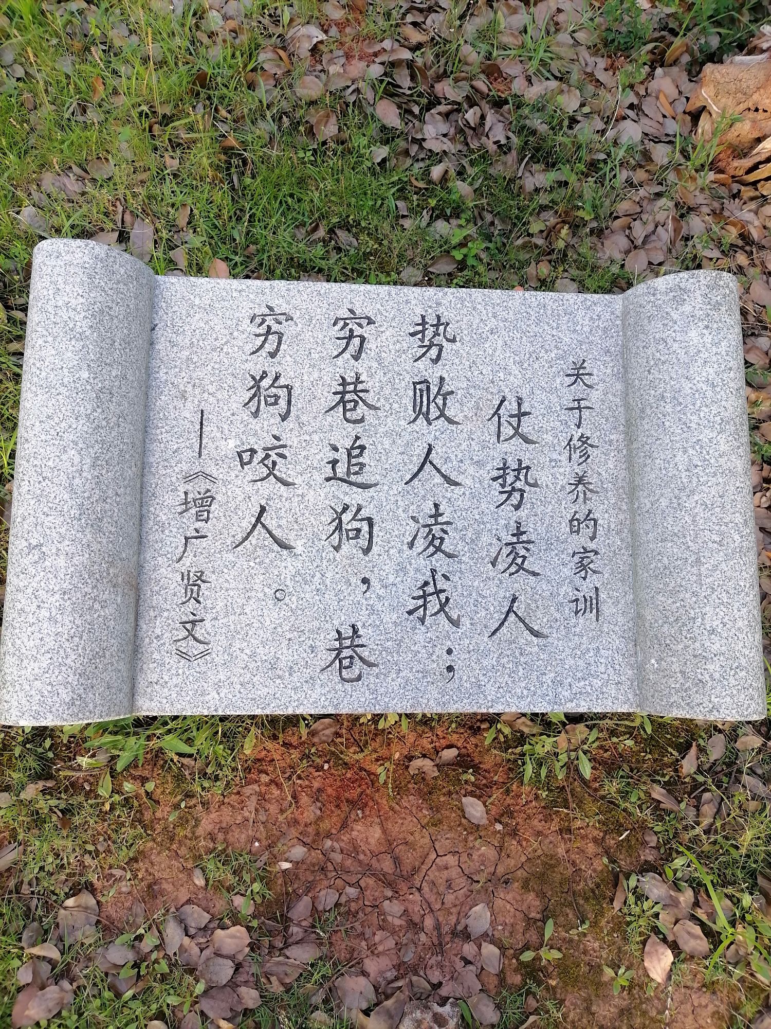 泰和公园旅行图片 3