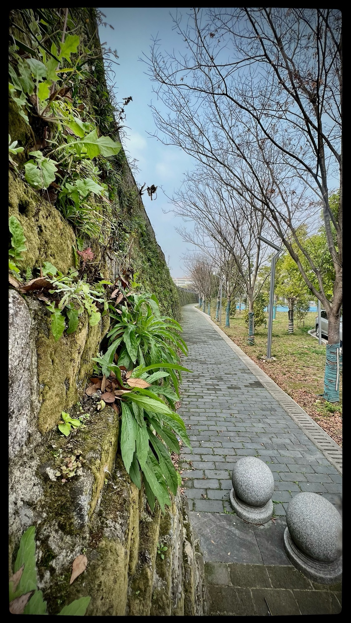 万安城墙旅行图片 3