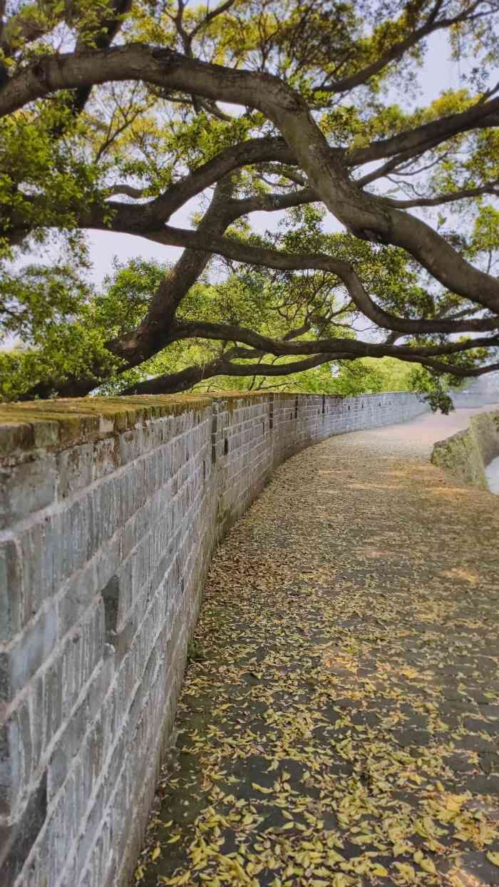 万安城墙旅行图片 3