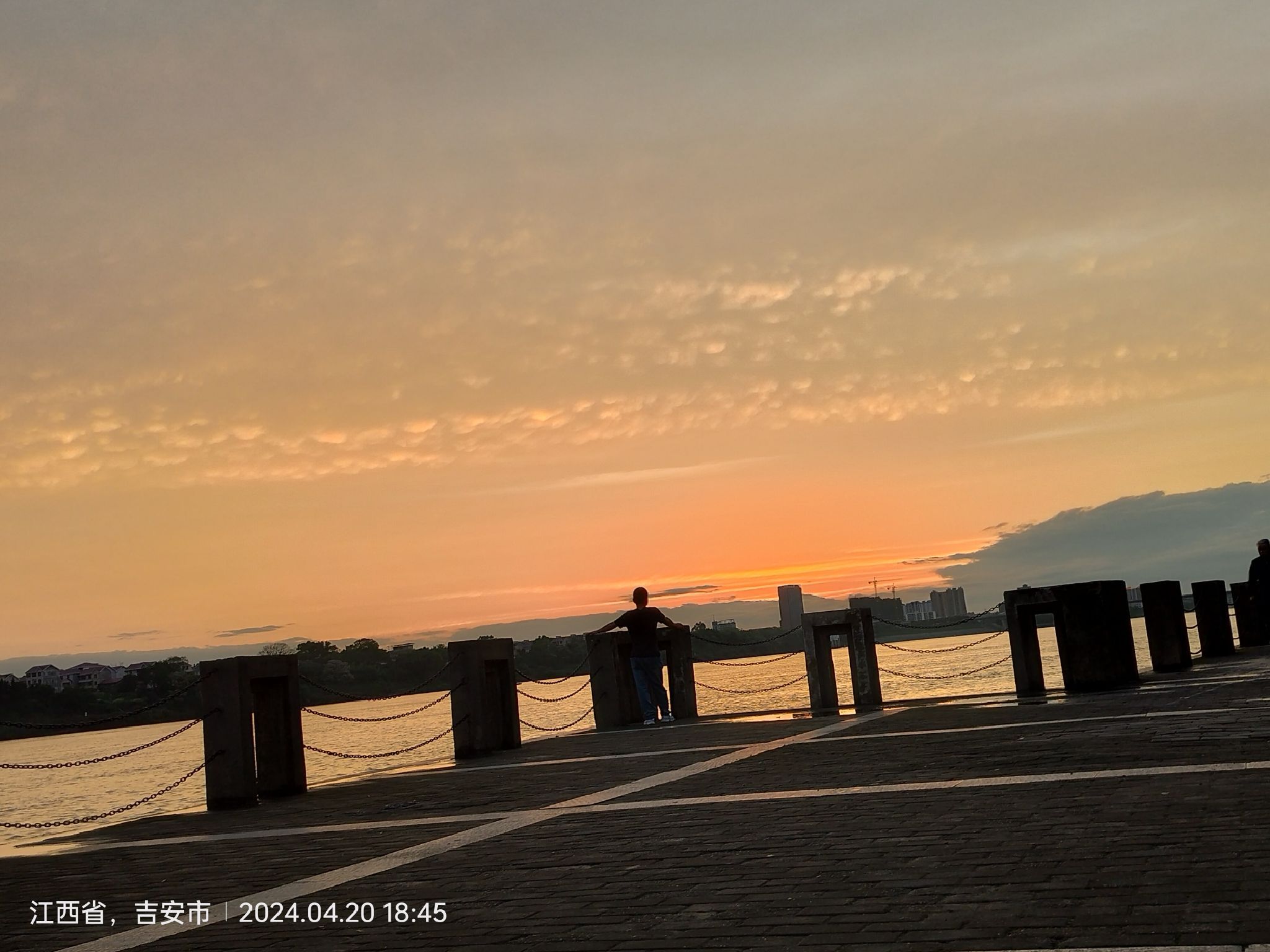 万安县古榕树旅行图片 1