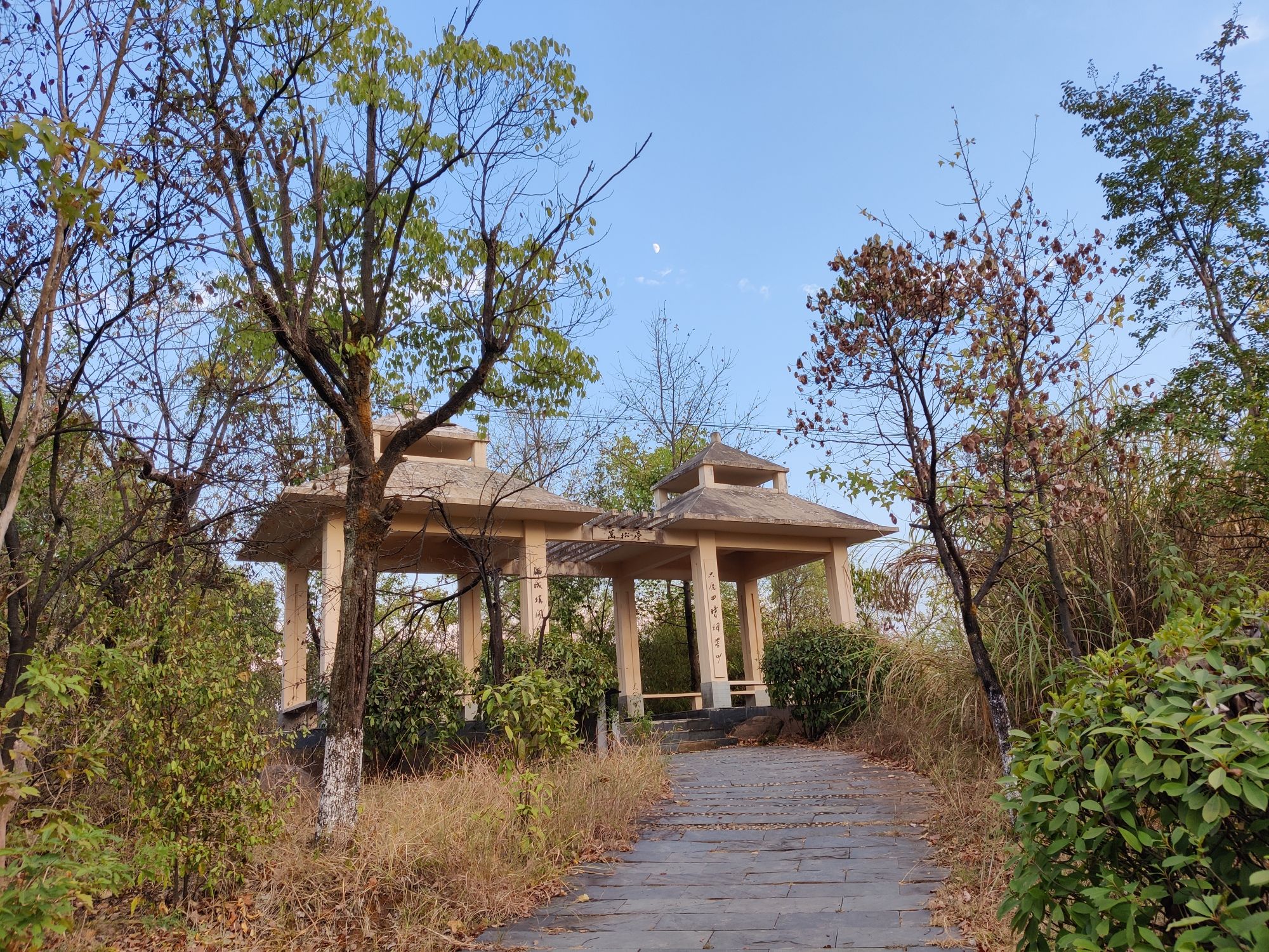 文山公园旅行图片 2