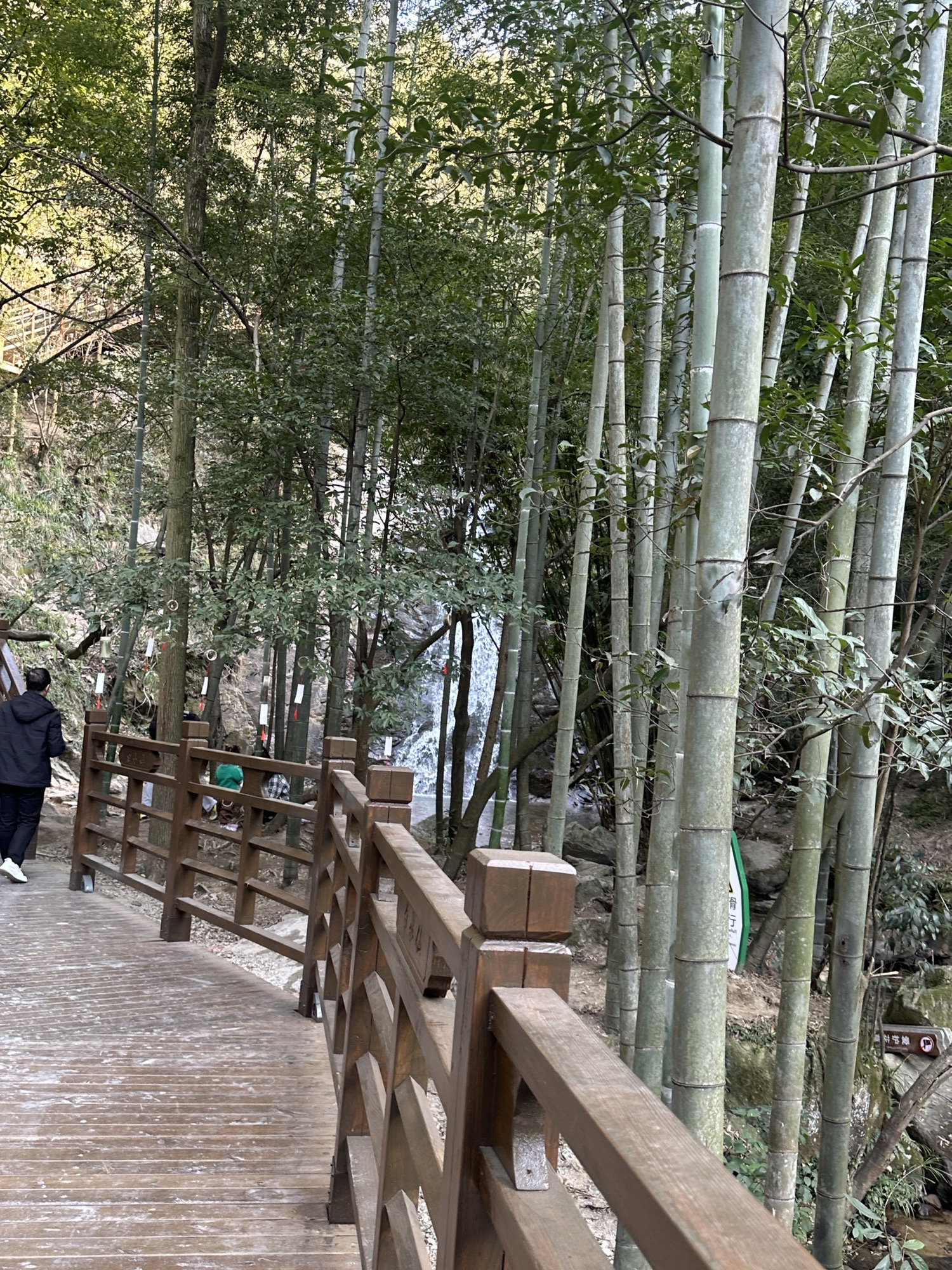 白水仙风景名胜区旅行图片 3