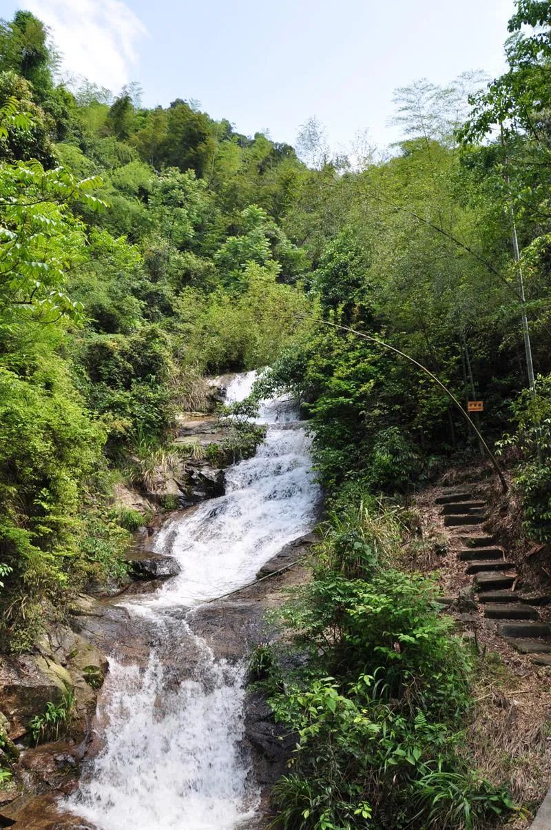 白水仙风景名胜区旅行图片 1