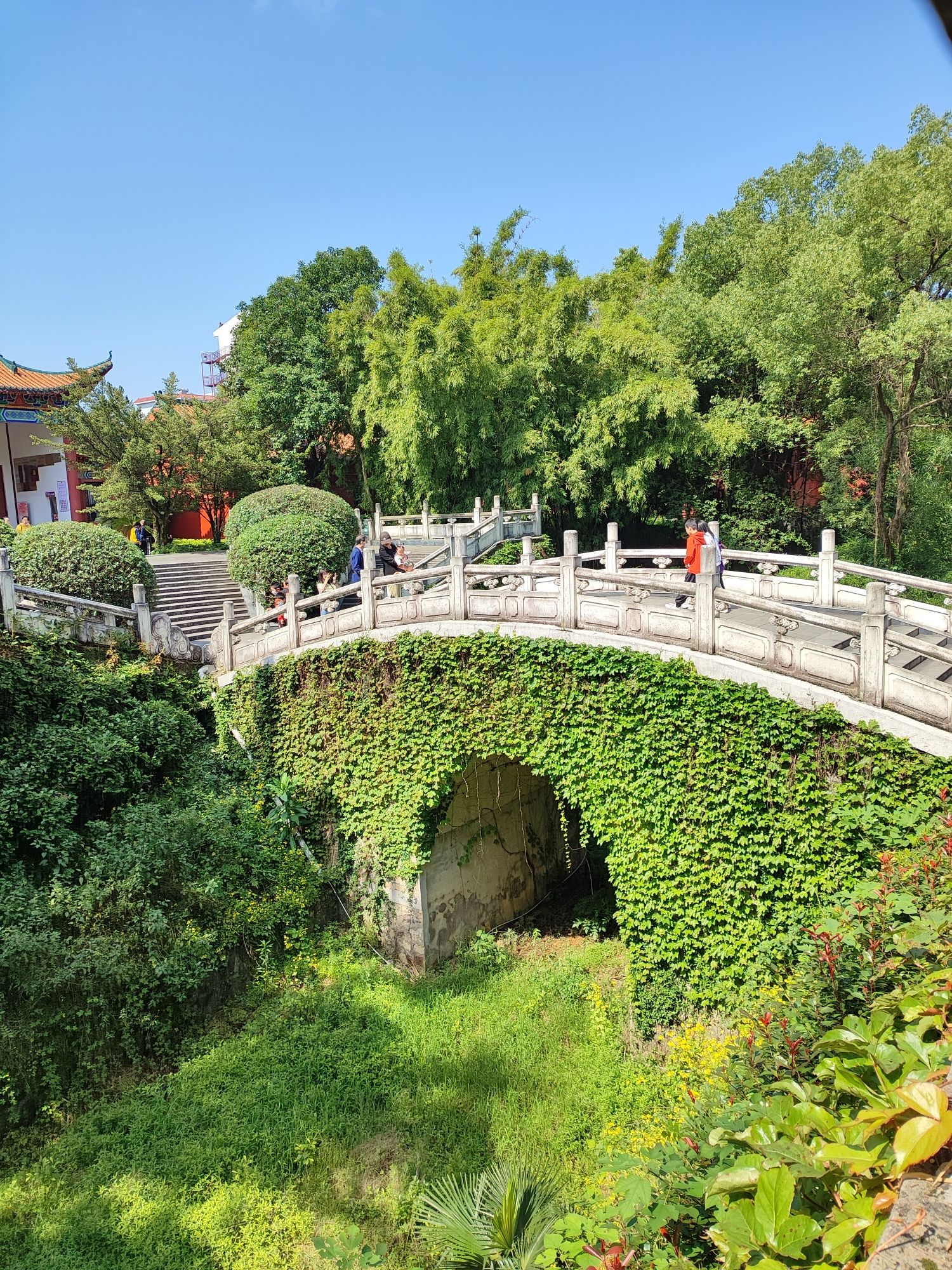 天祥公园旅行图片 3