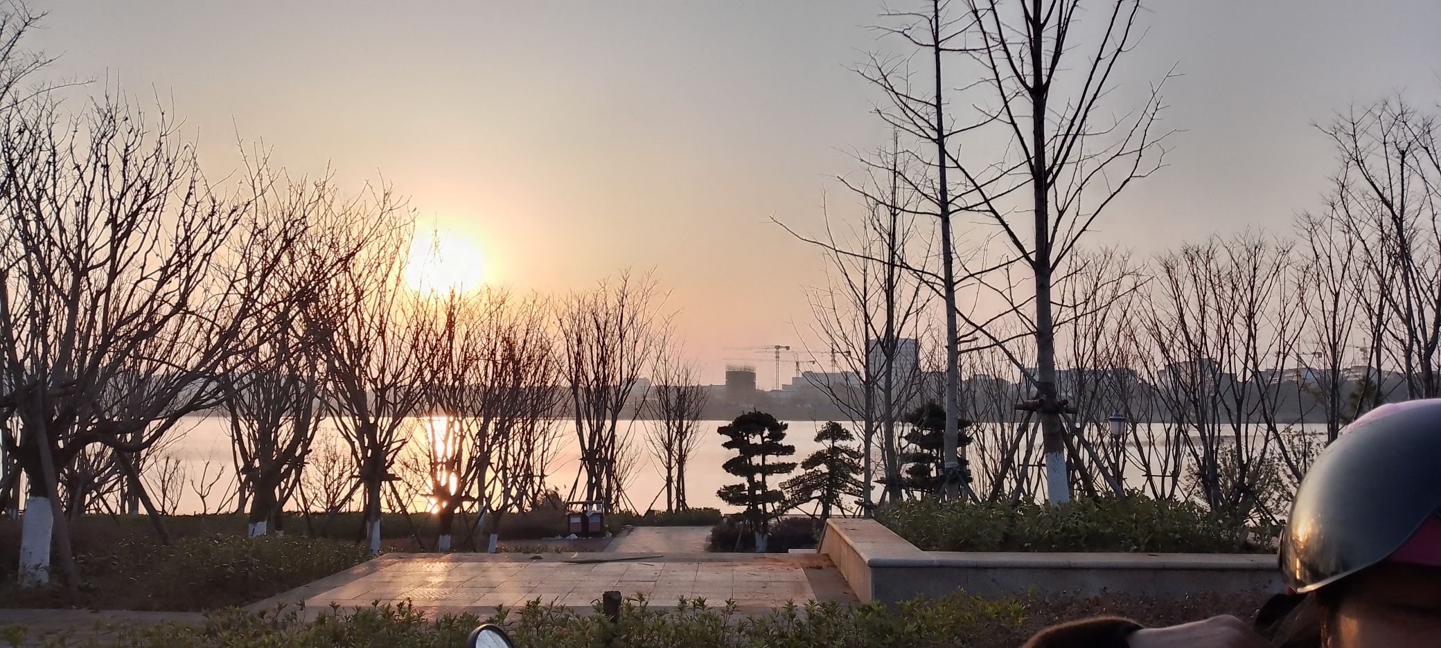 君山湖公园旅行图片 1