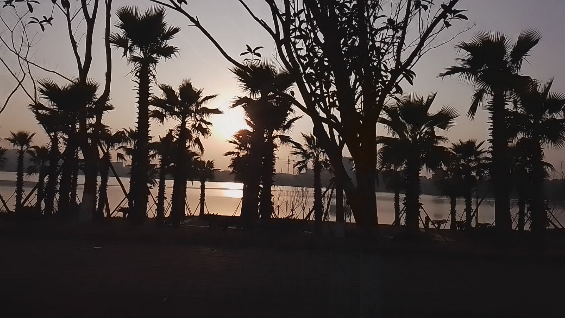 君山湖公园旅行图片 3