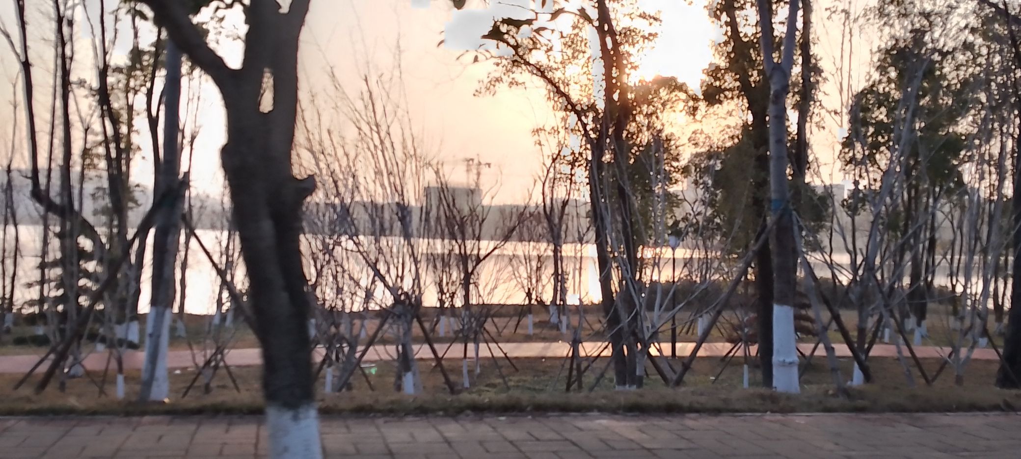 君山湖公园旅行图片 2