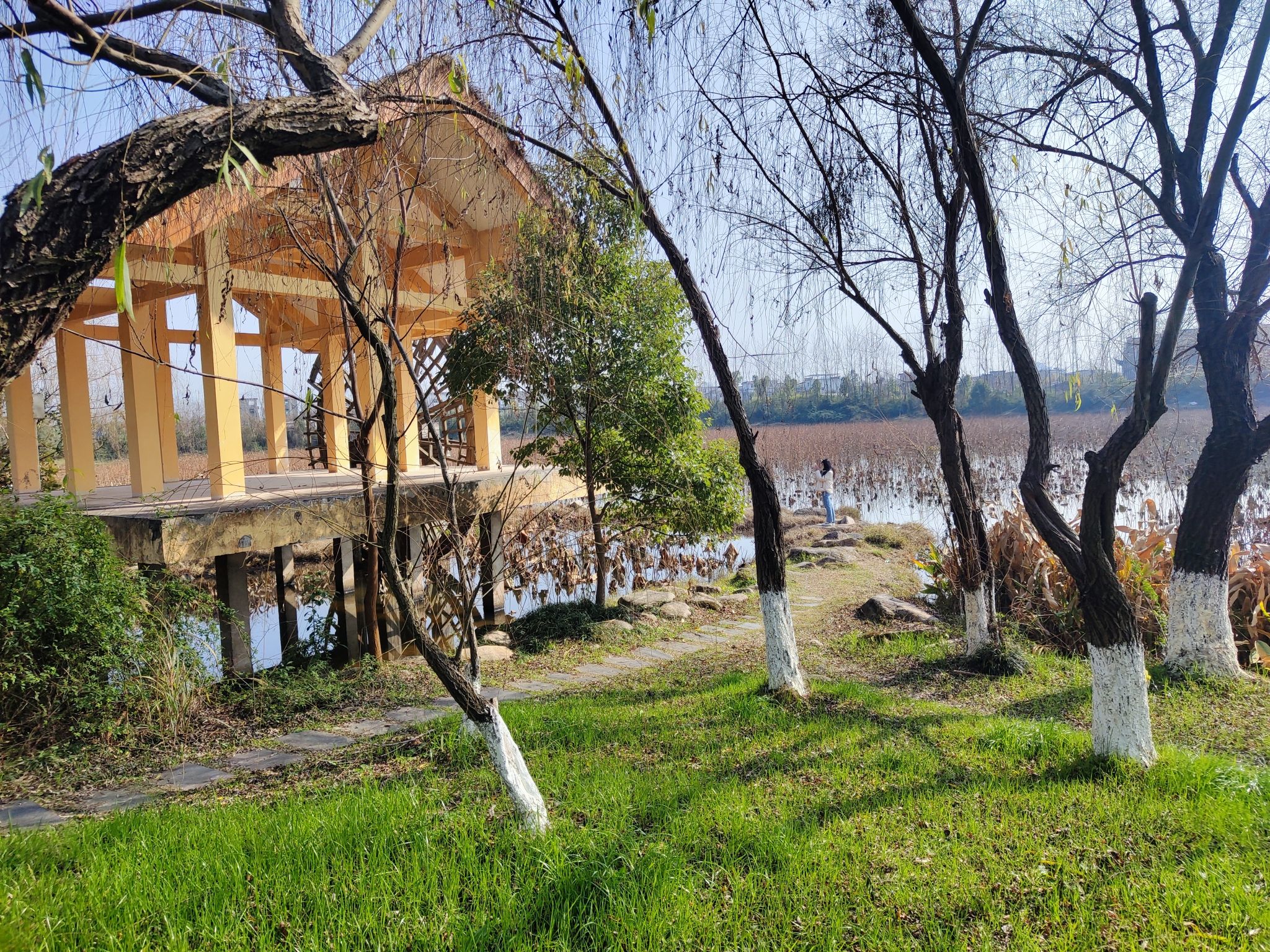 文塔广场旅行图片 2
