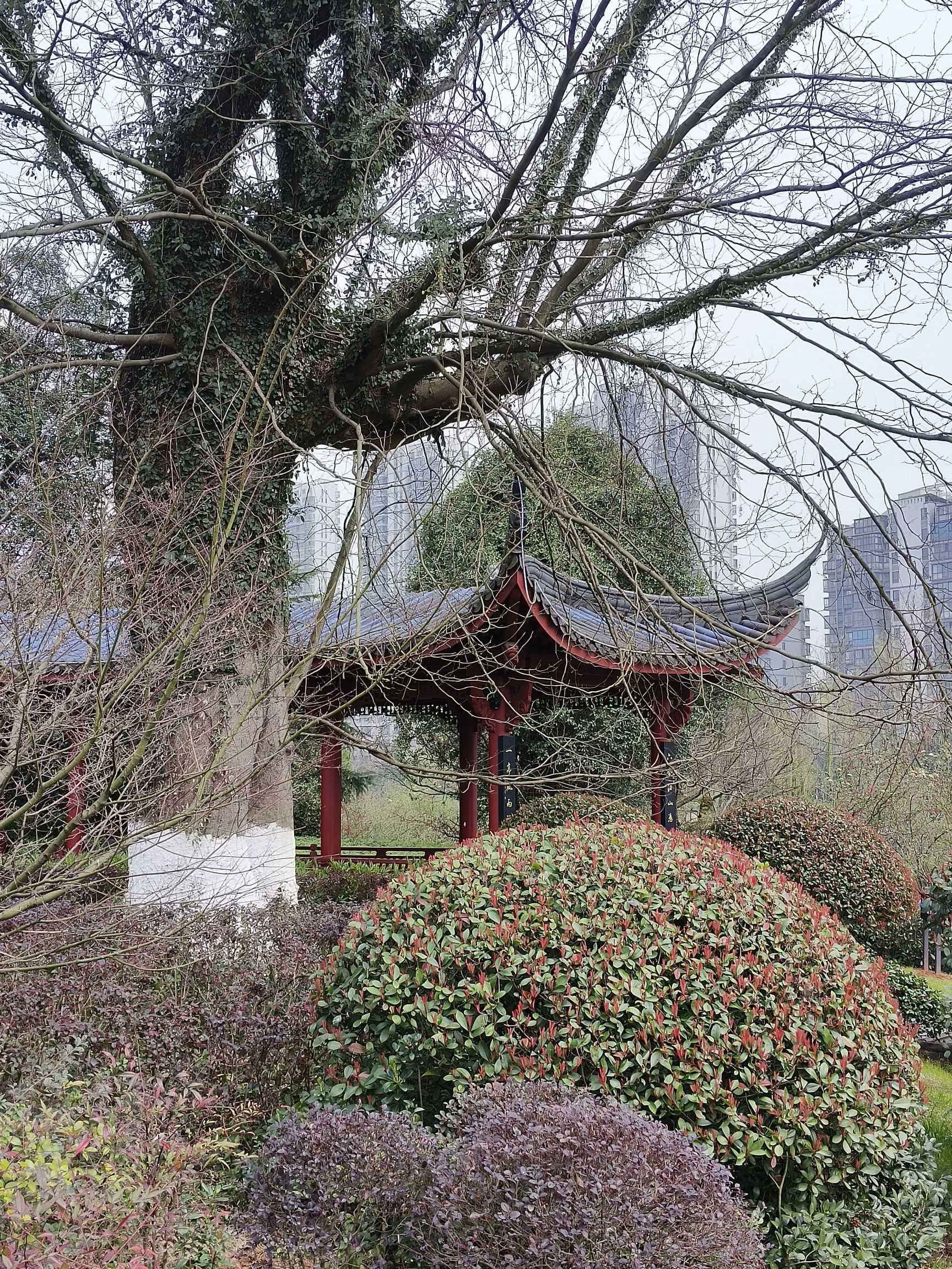 庐陵文化生态园旅行图片 3