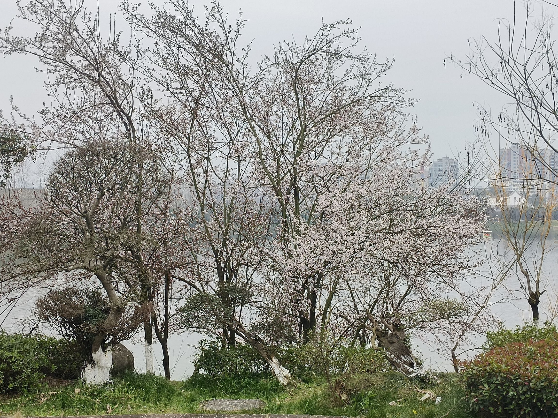庐陵文化生态园旅行图片 1