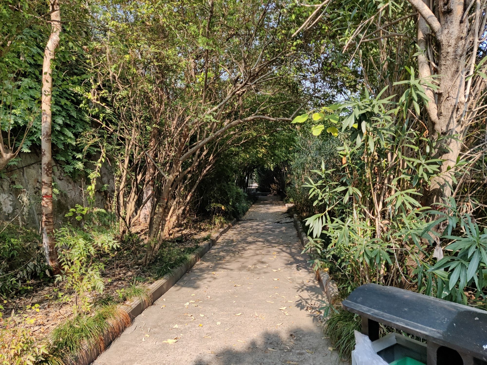 滨江公园旅行图片 2