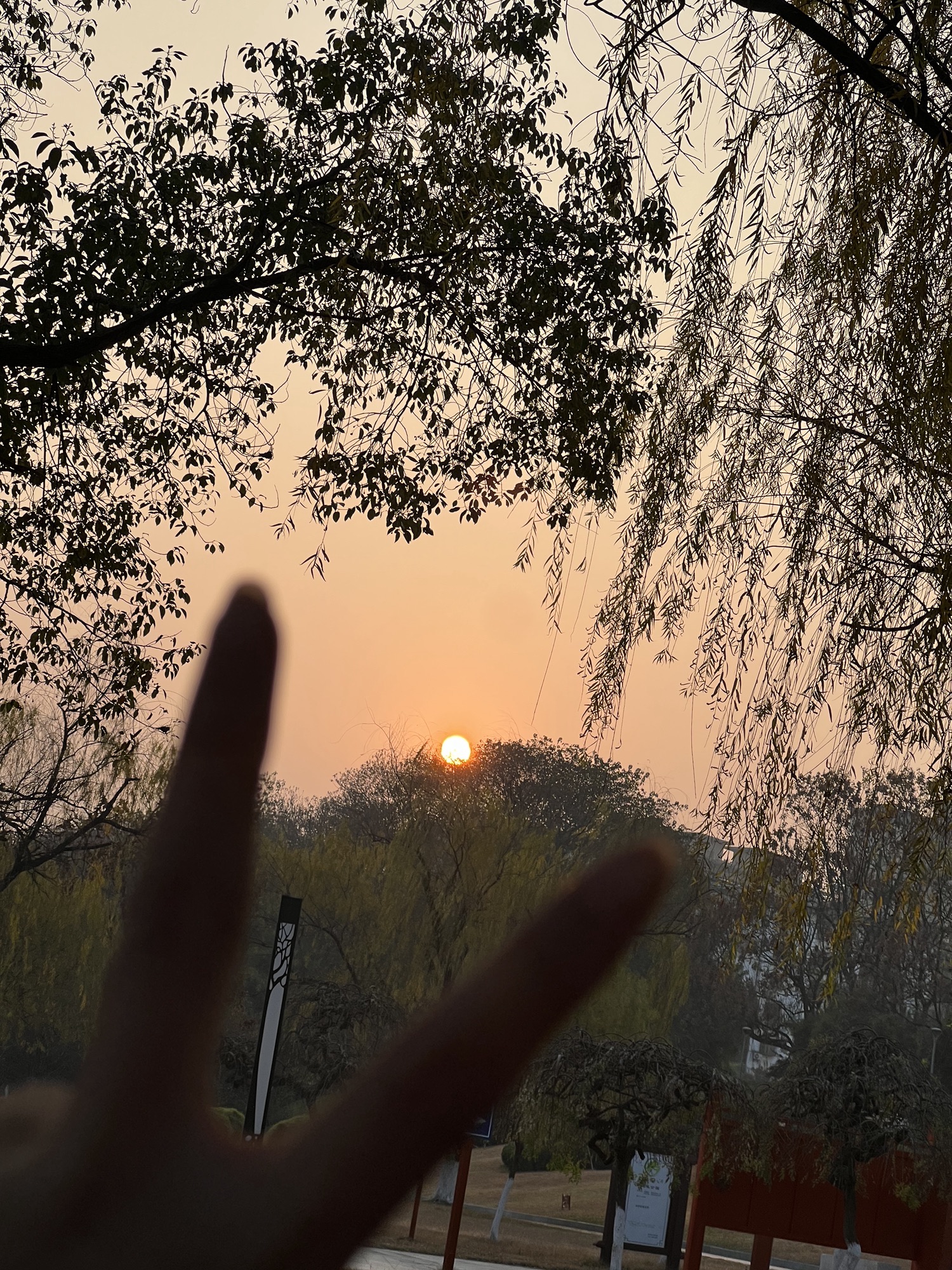 滨江公园旅行图片 3