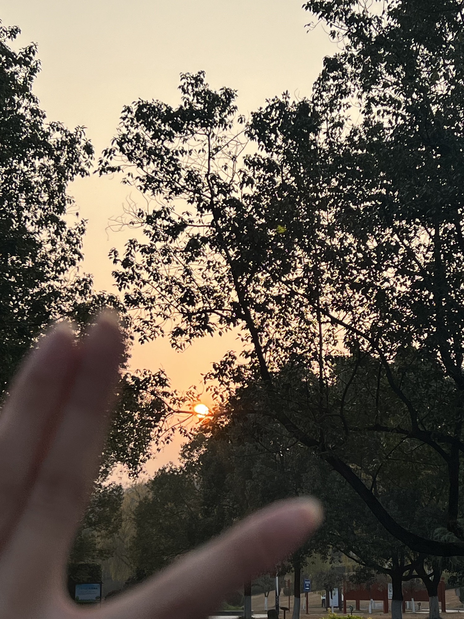 滨江公园旅行图片 1