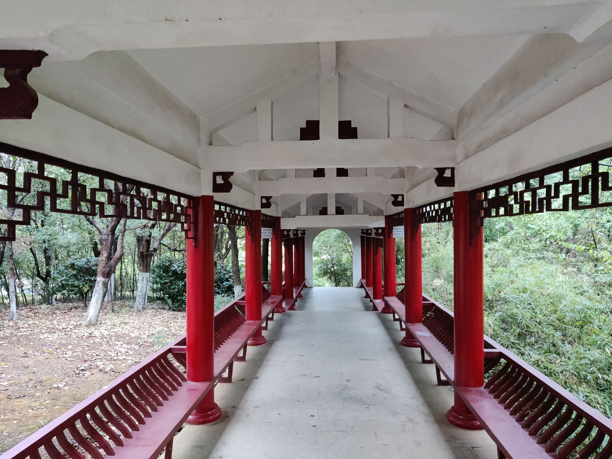 东井冈公园旅行图片 3