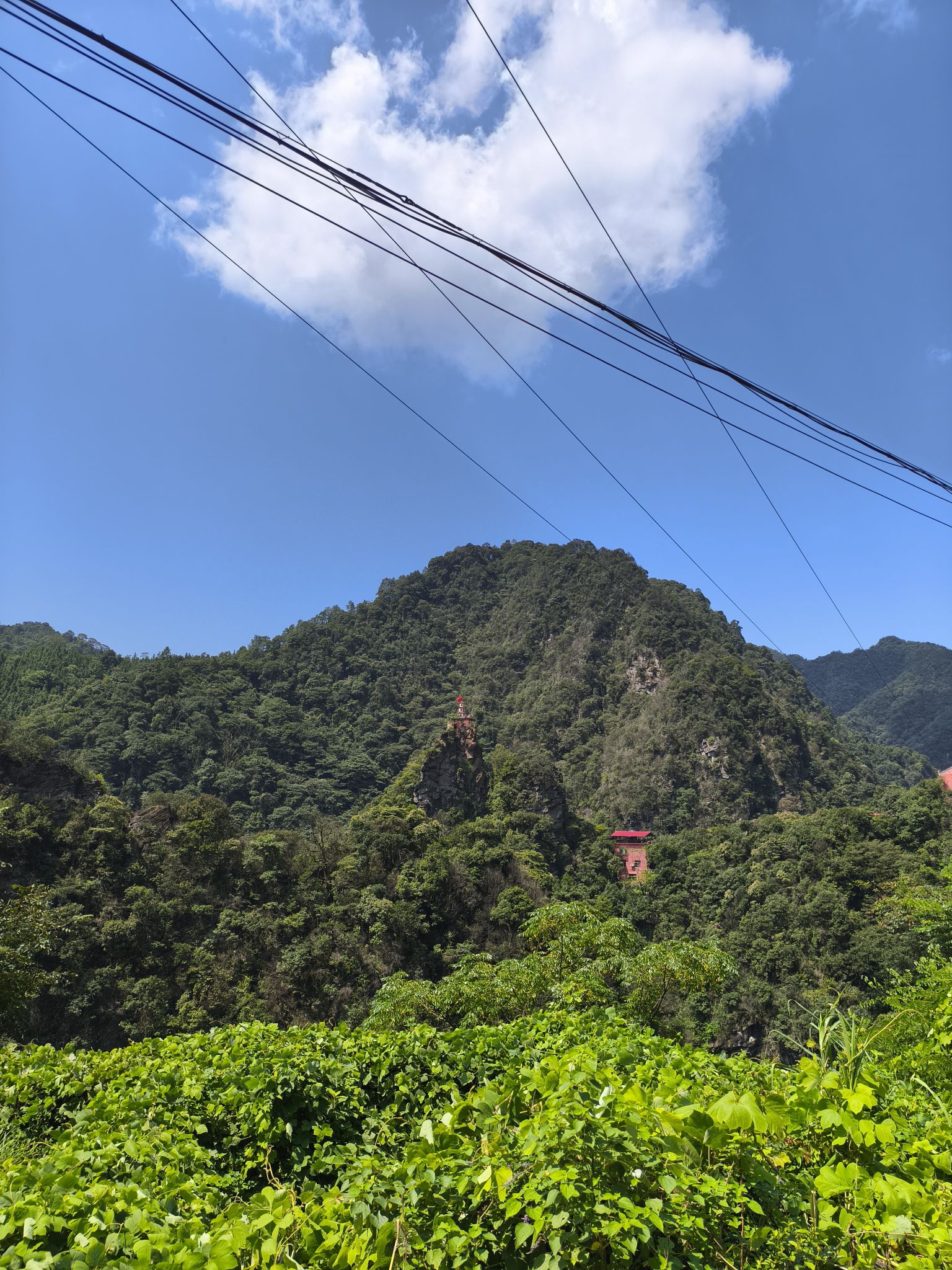 阿育塔旅行图片 1