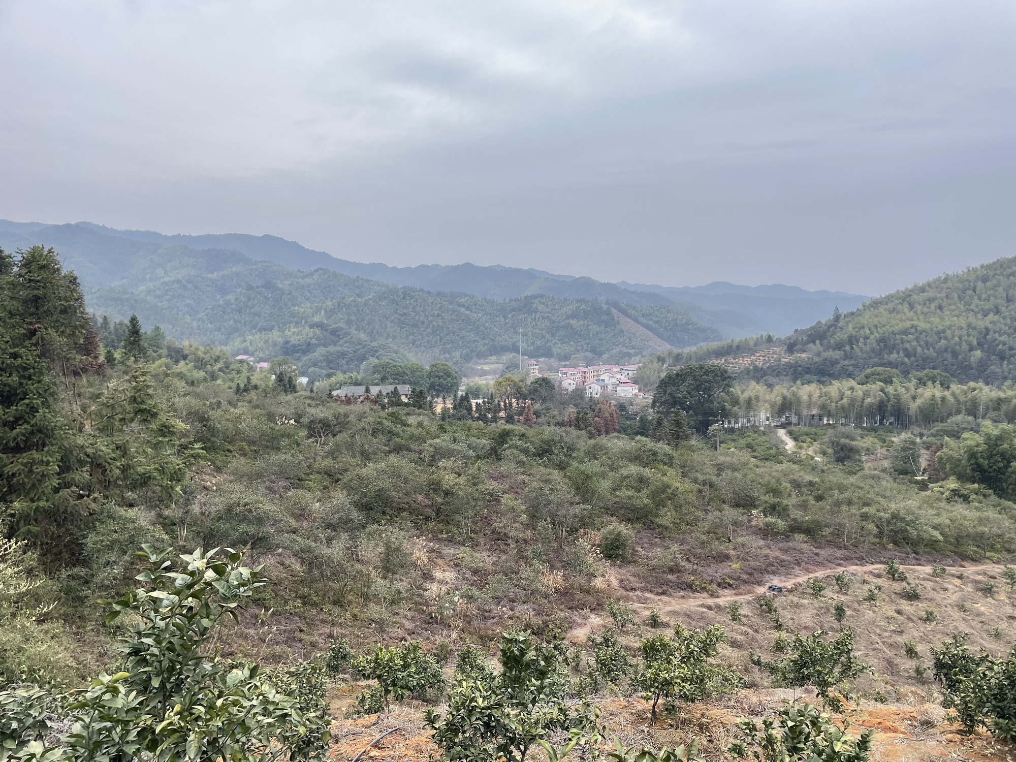紫瑶山生态旅游区旅行图片 1