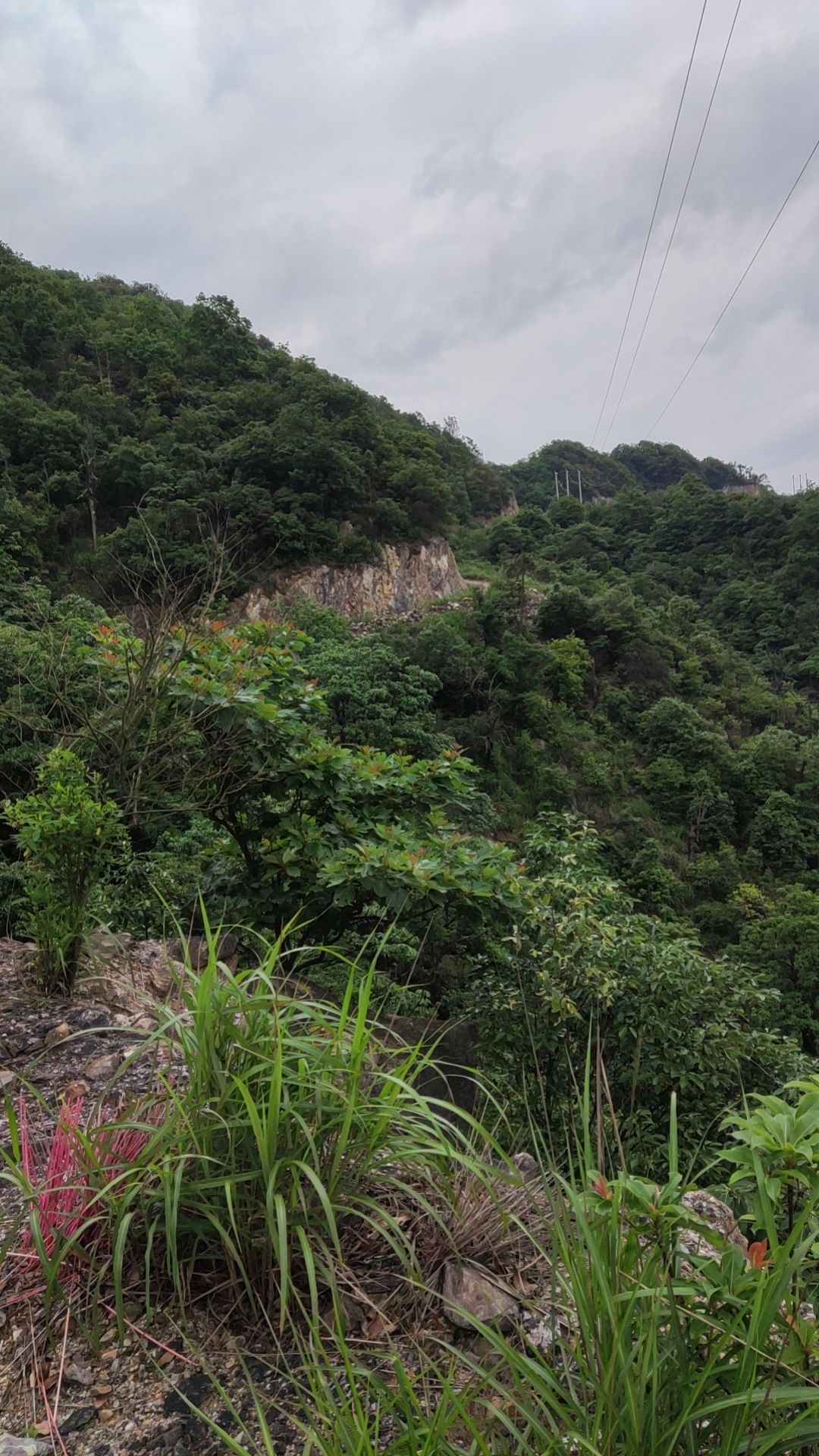 紫瑶山生态旅游区旅行图片 3