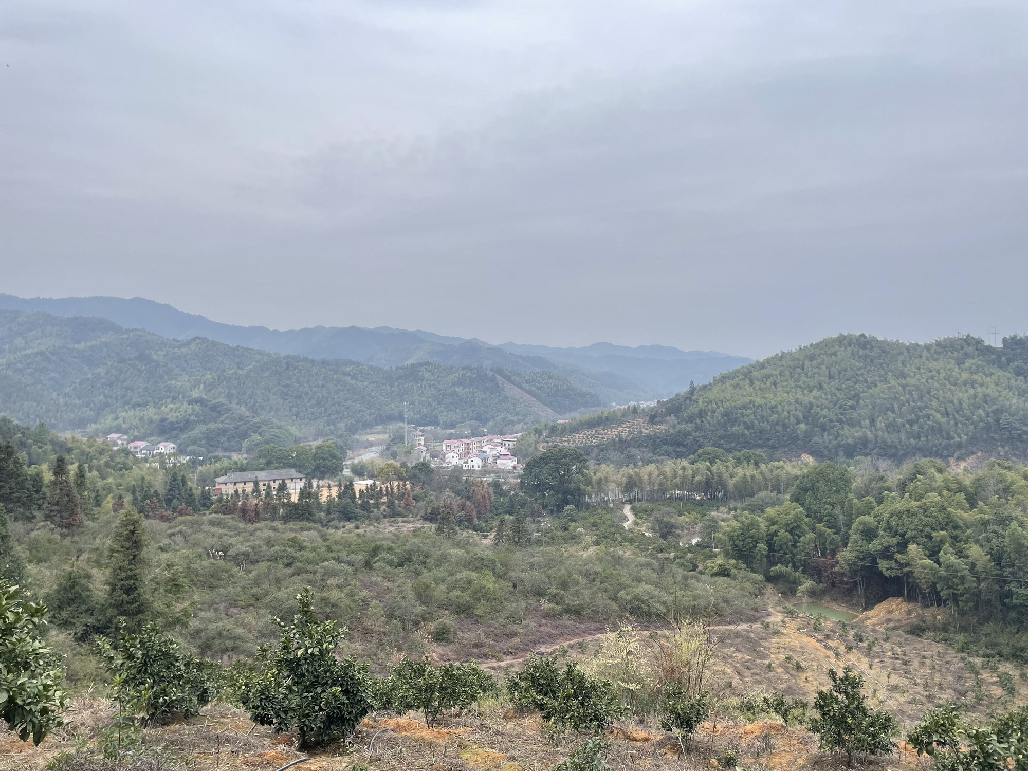 紫瑶山生态旅游区旅行图片 3