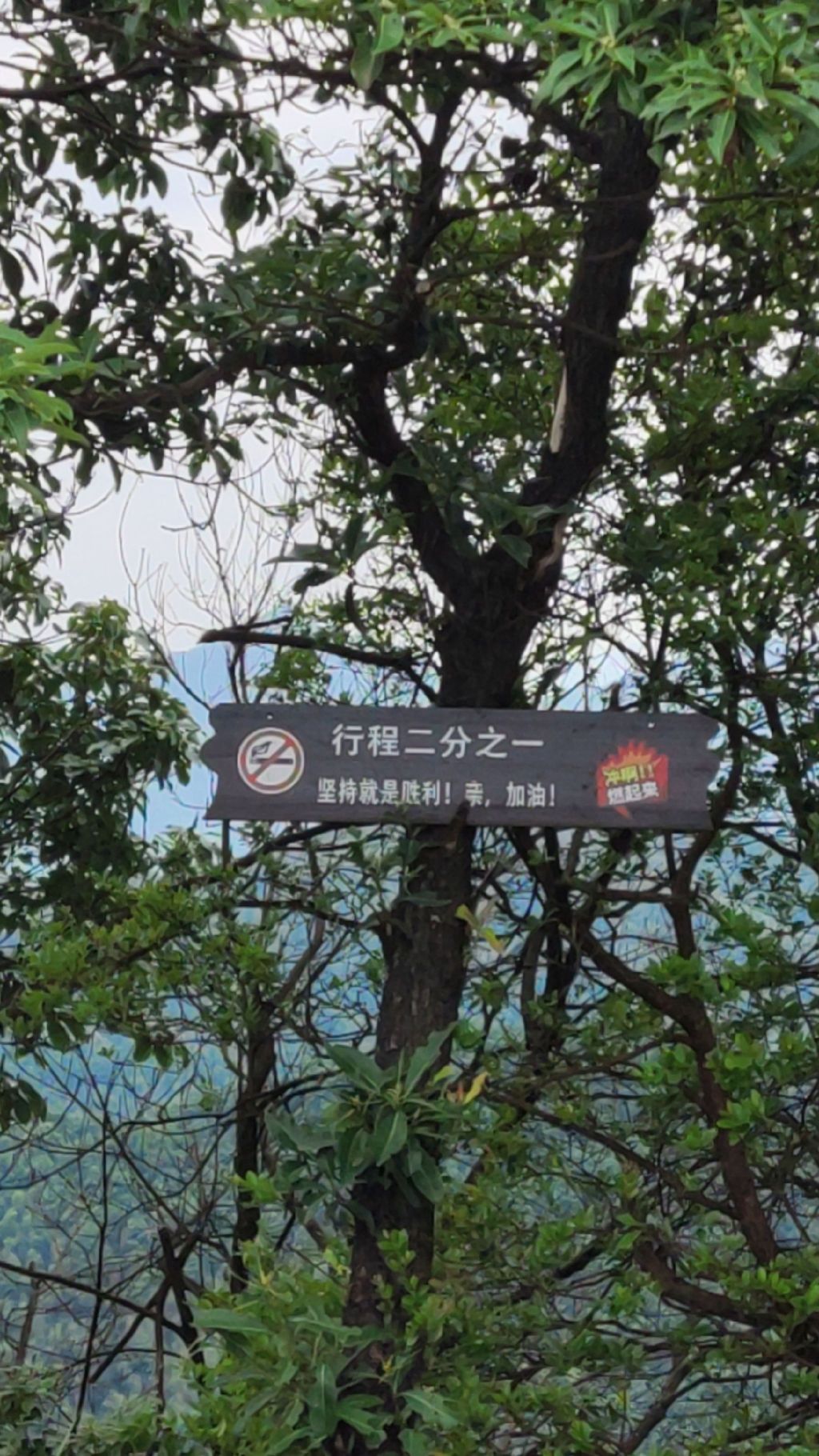 紫瑶山生态旅游区旅行图片 1