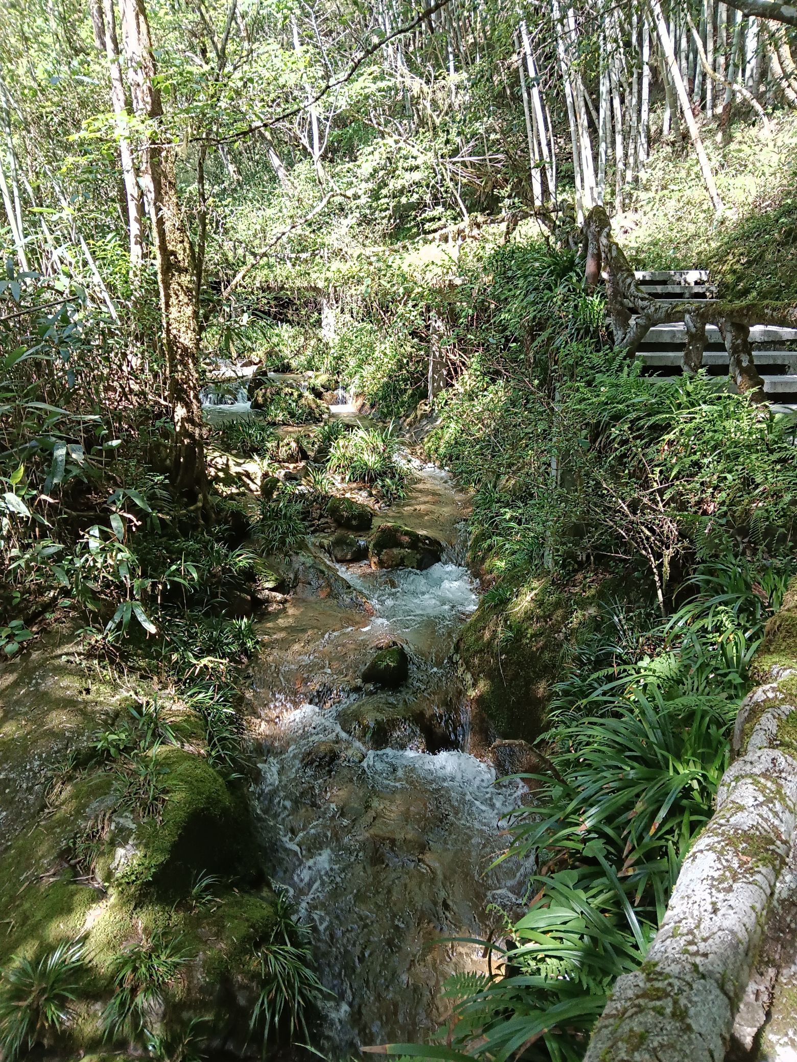 荆竹山景区