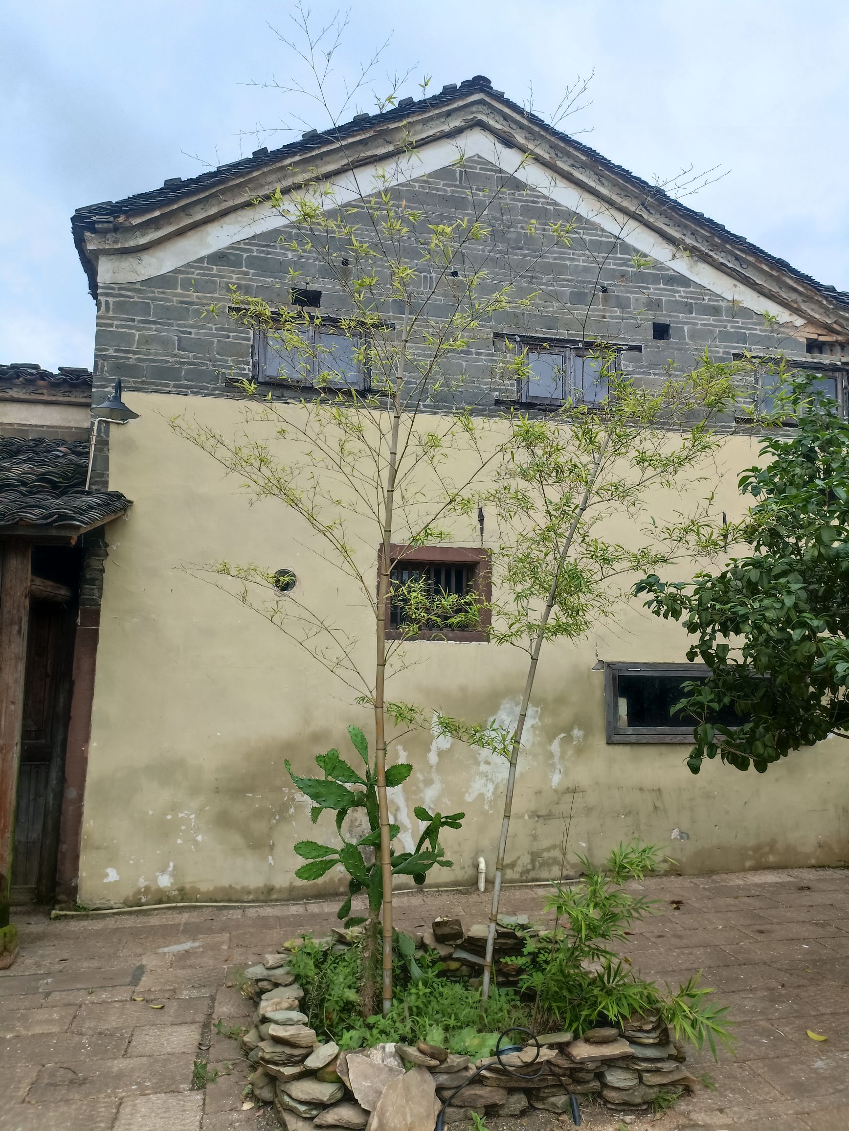 燕坊古村旅行图片 3