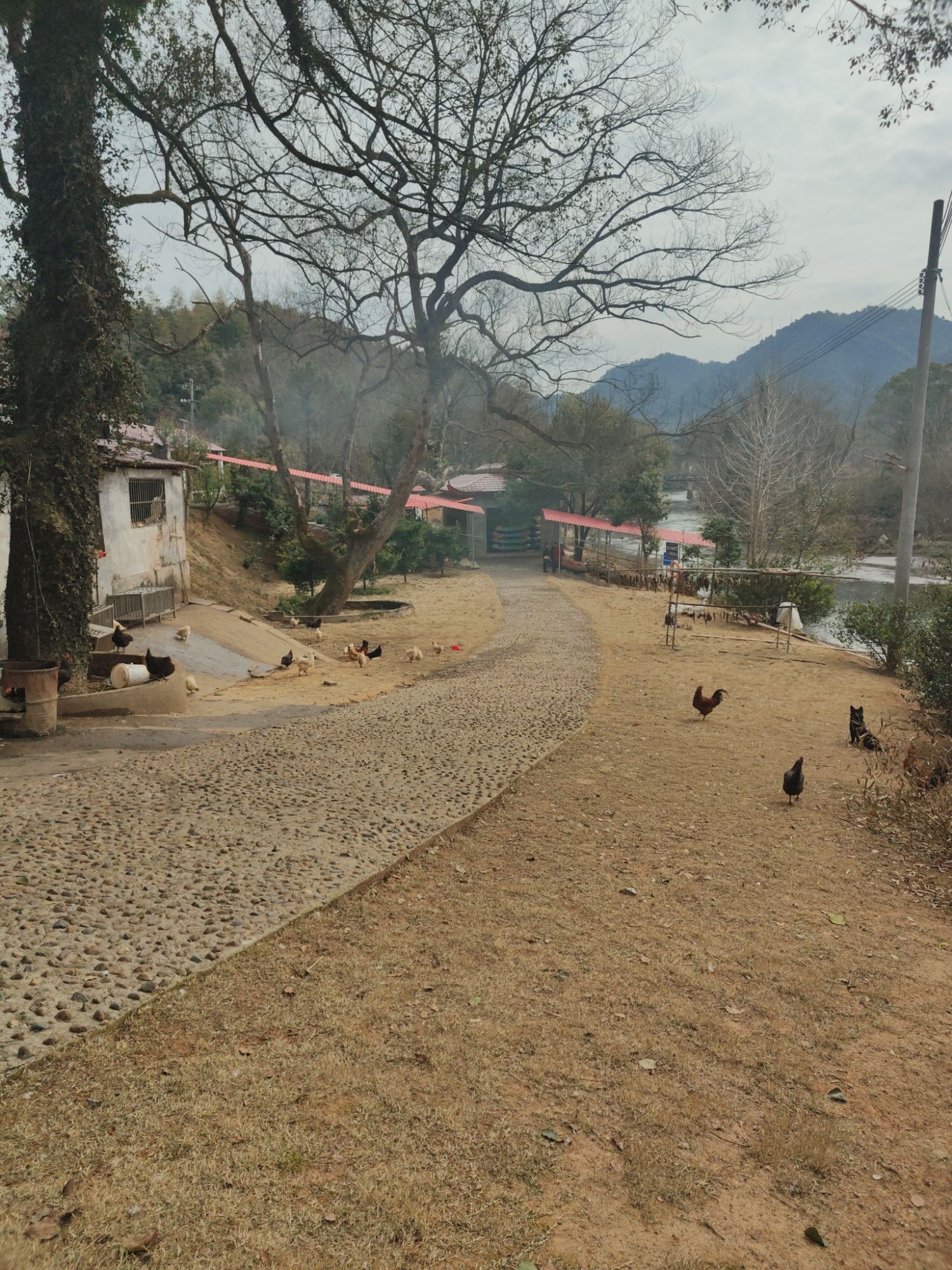 白鹭湖国家森林公园旅行图片 3